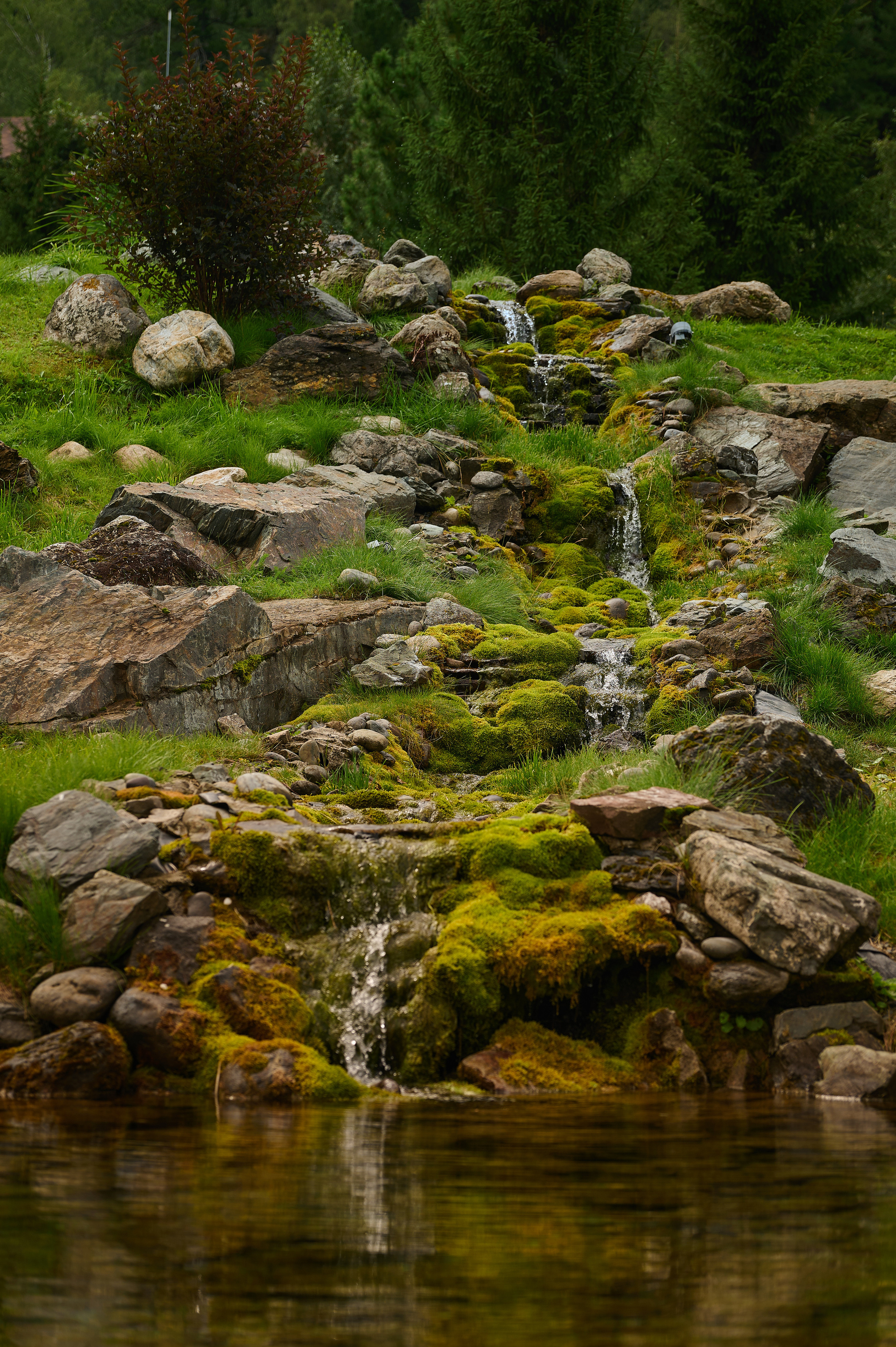 Altay Resort. Фотограф Опыт Качество Скорость Горный Алтай Барнаул