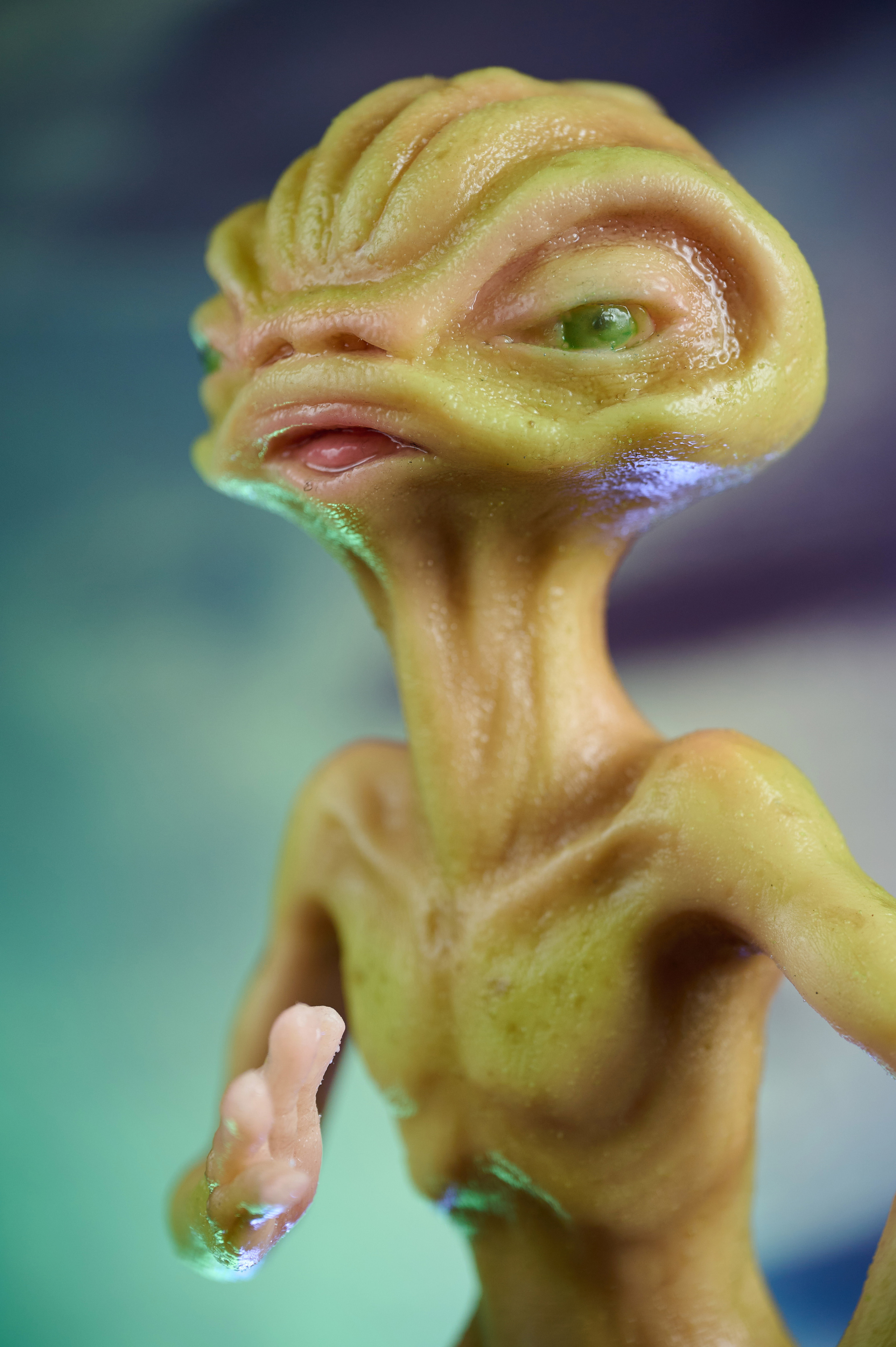 Вторжение инопланетян. Фотограф Опыт Качество Скорость Горный Алтай Барнаул