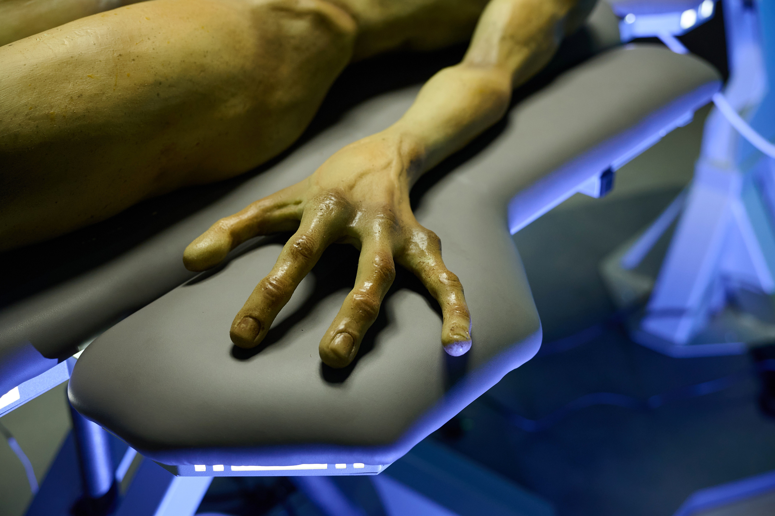 Вторжение инопланетян. Фотограф Опыт Качество Скорость Горный Алтай Барнаул