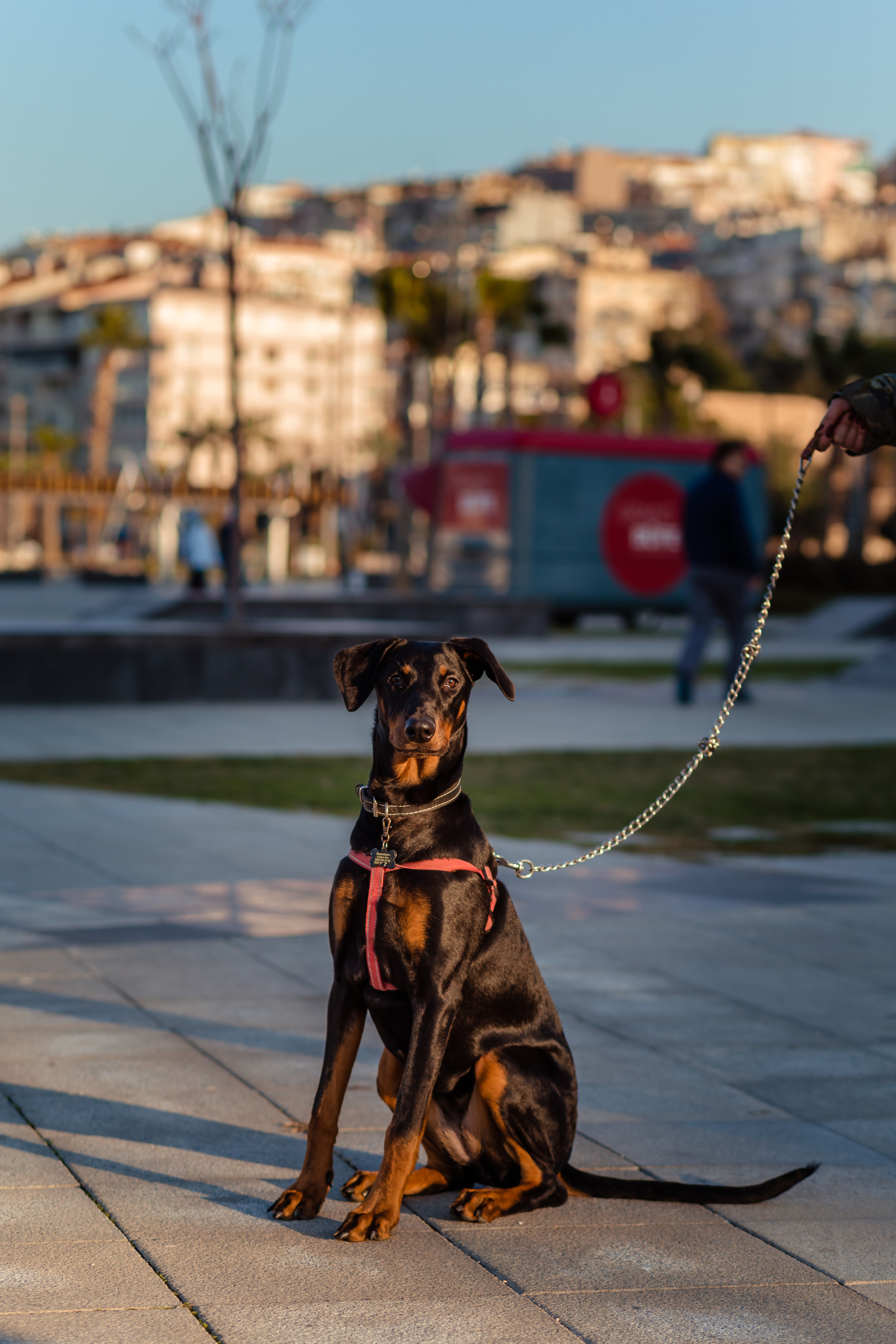 Gölge. Professional family and children’s photographer in Izmir Irina Eron