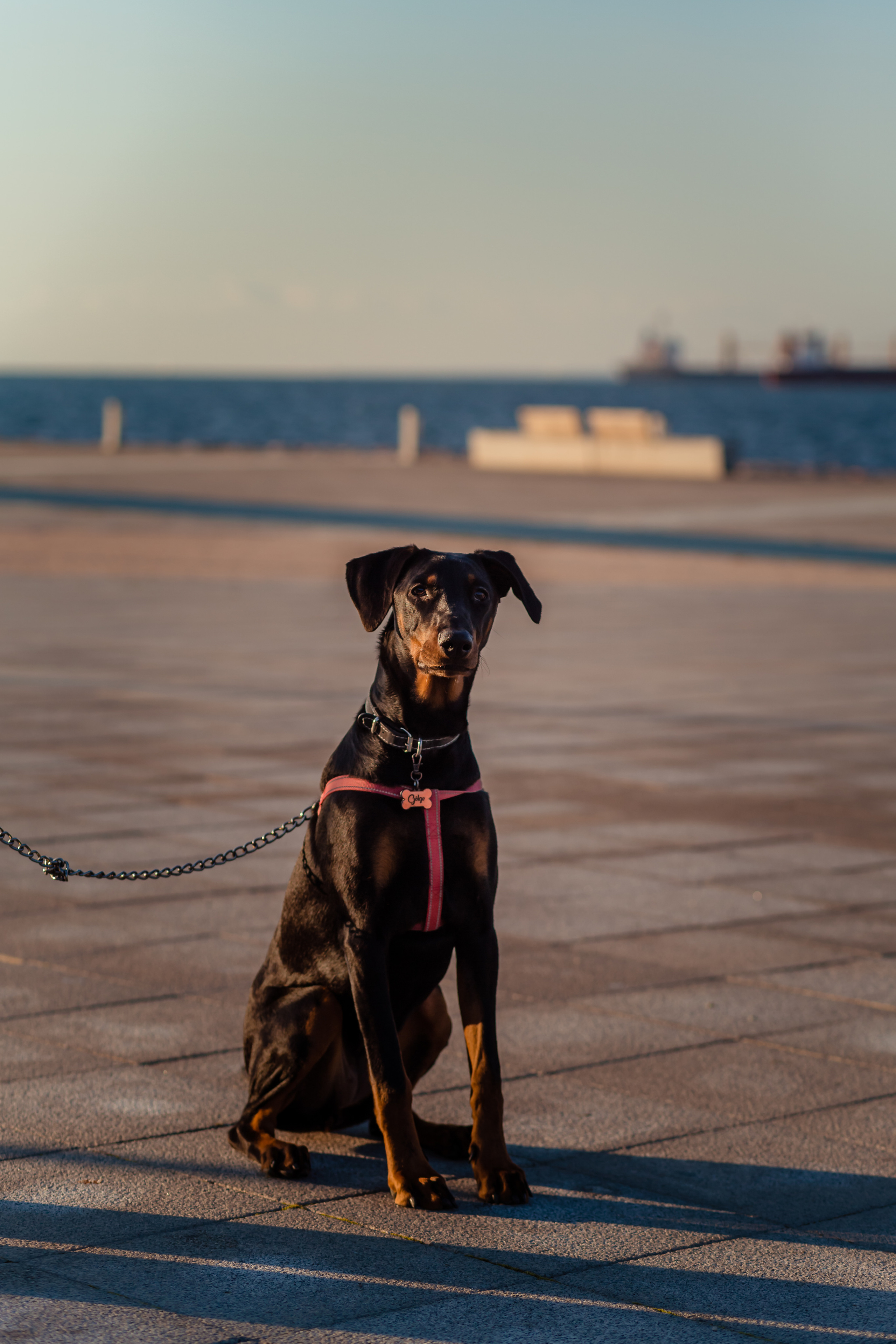 Gölge. Professional family and children’s photographer in Izmir Irina Eron