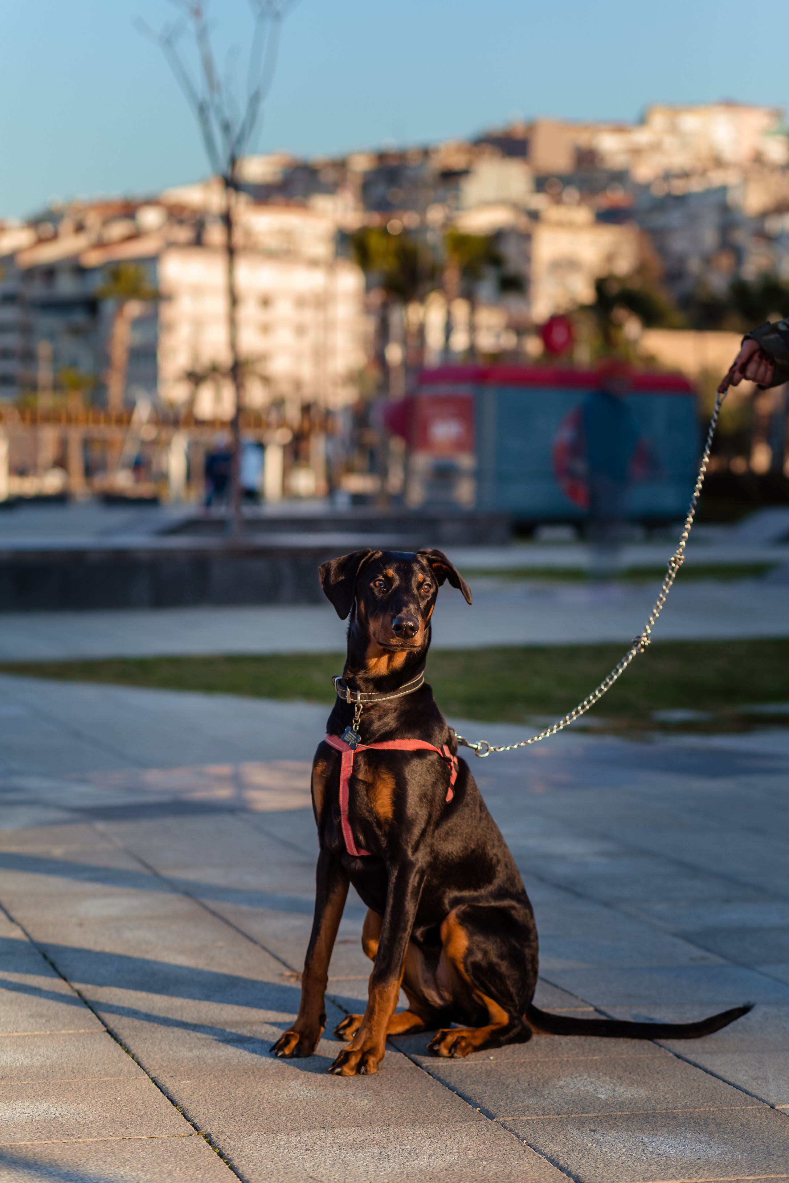 Gölge. Professional family and children’s photographer in Izmir Irina Eron
