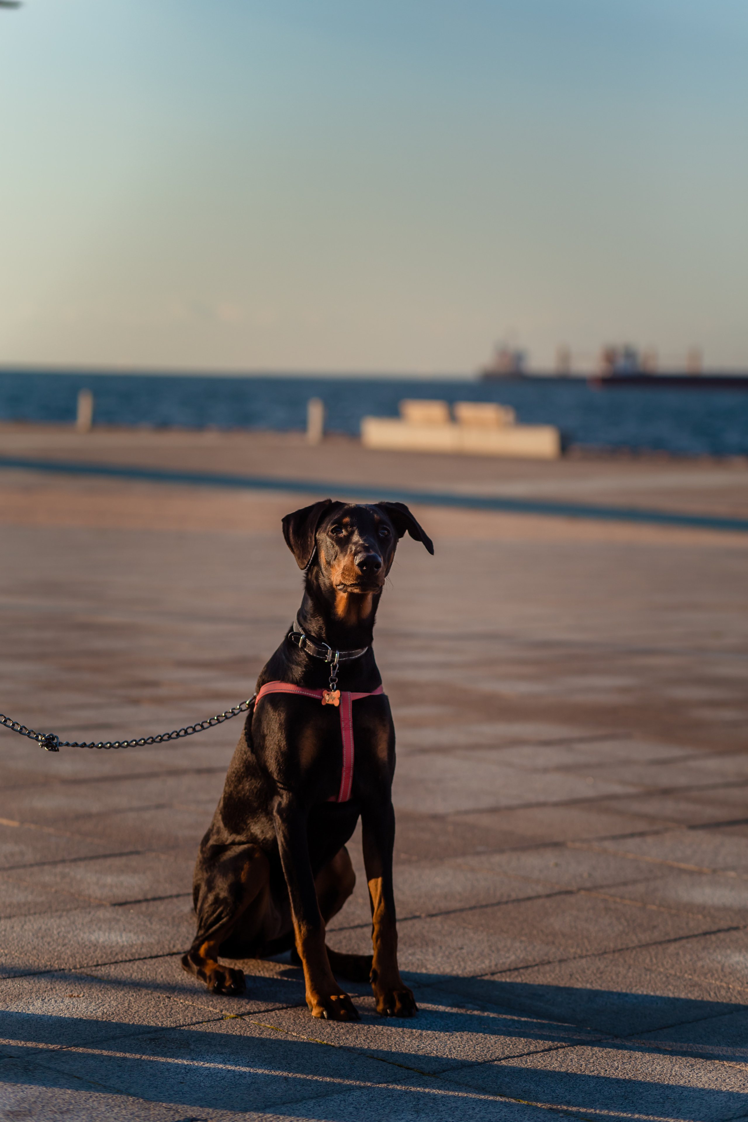 Gölge. Professional family and children’s photographer in Izmir Irina Eron