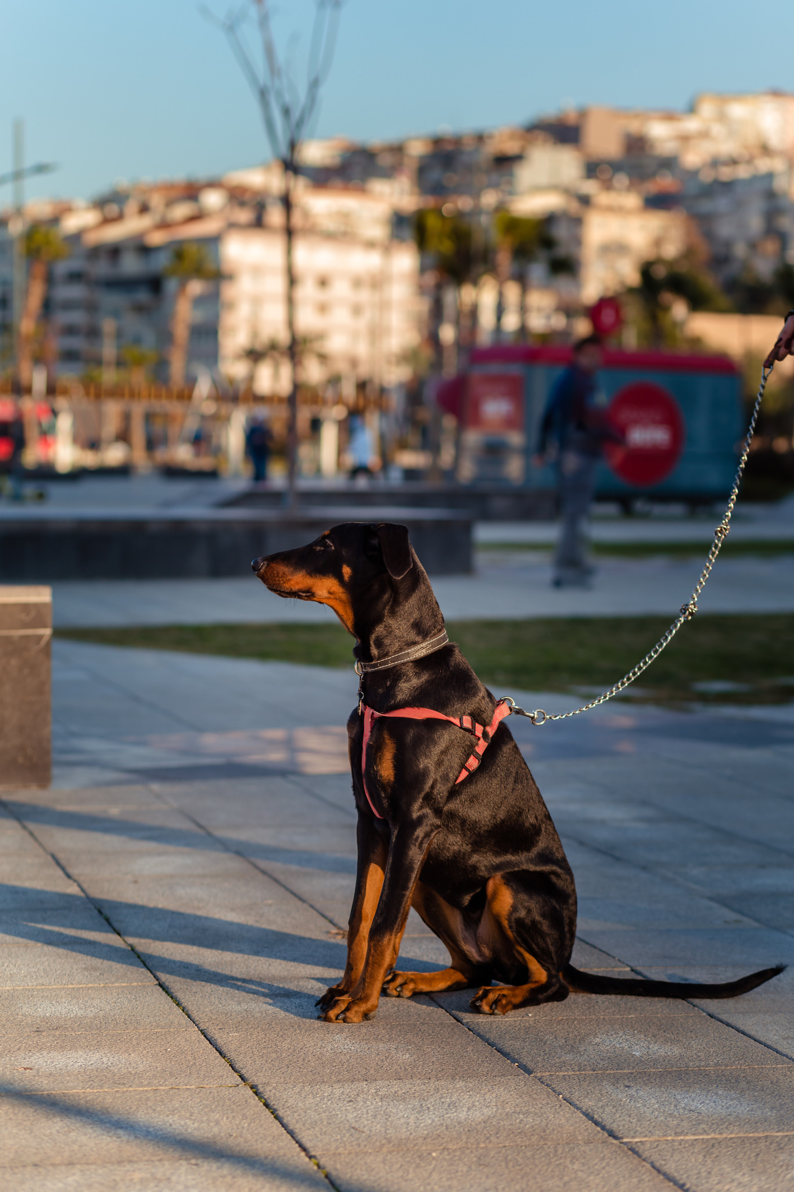 Gölge. Professional family and children’s photographer in Izmir Irina Eron