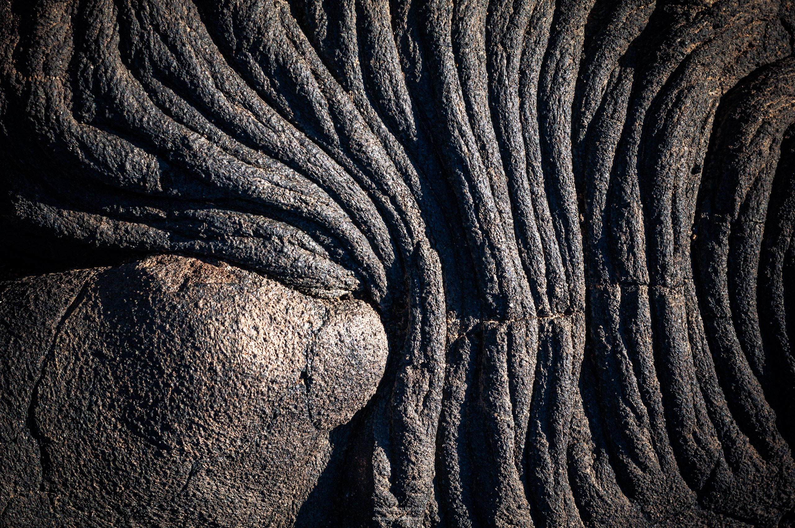 Осязаемая красота. Авторские стильные фотокартины