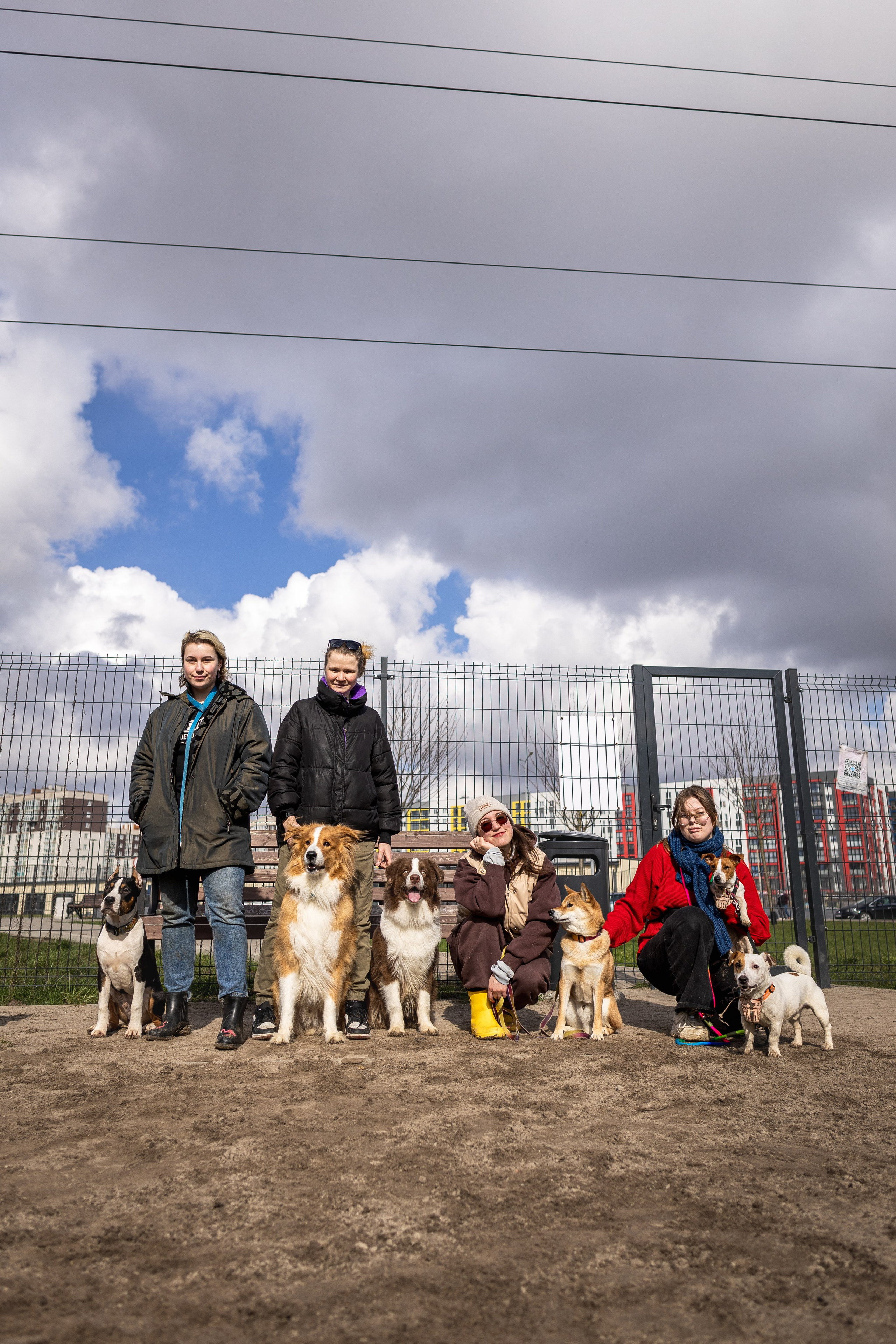 Догтуса 24.03.2024. Ирина Голомб|Фотограф-анималист в  Сочи и Калининграде