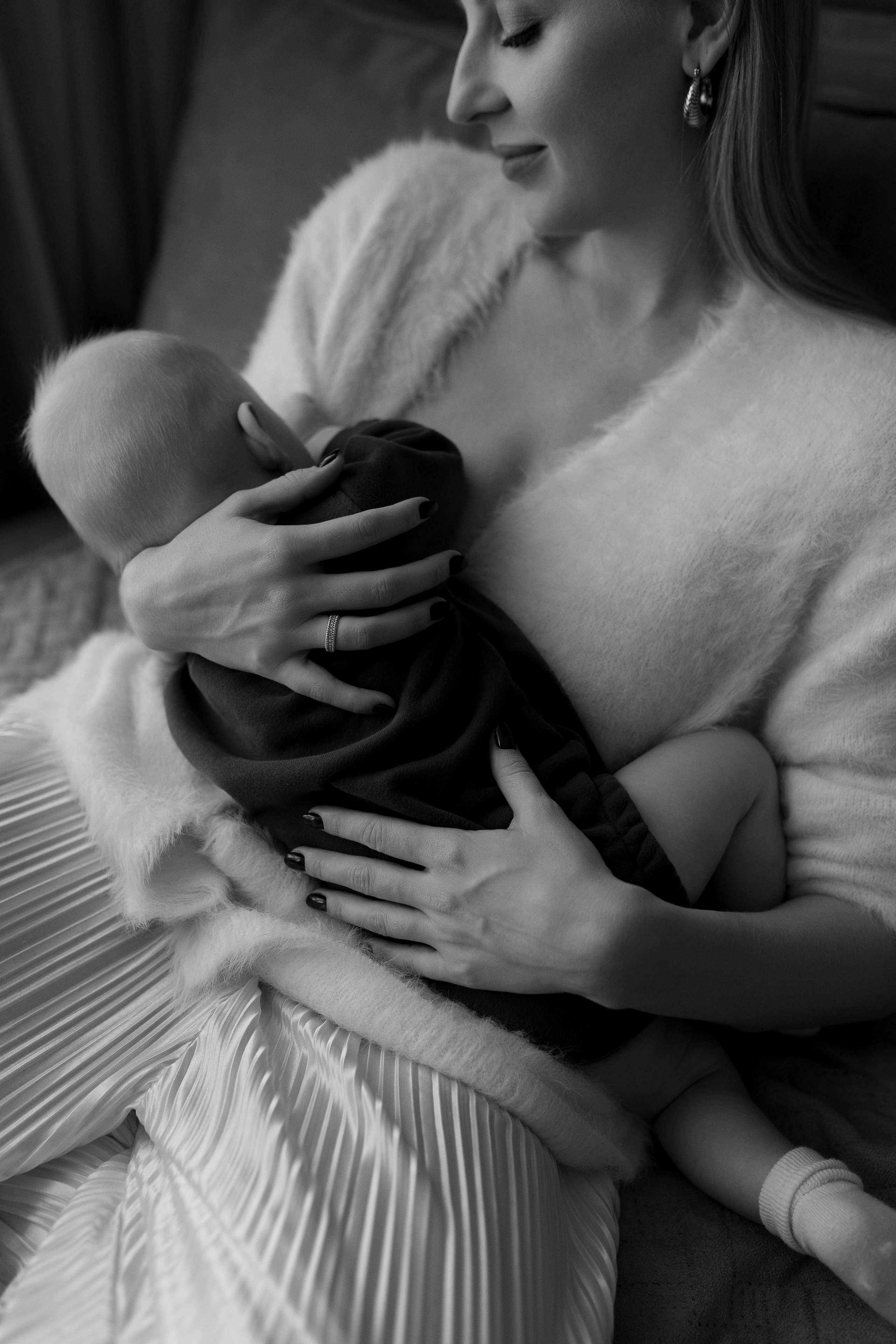 Домашняя история. Meryfotoidea