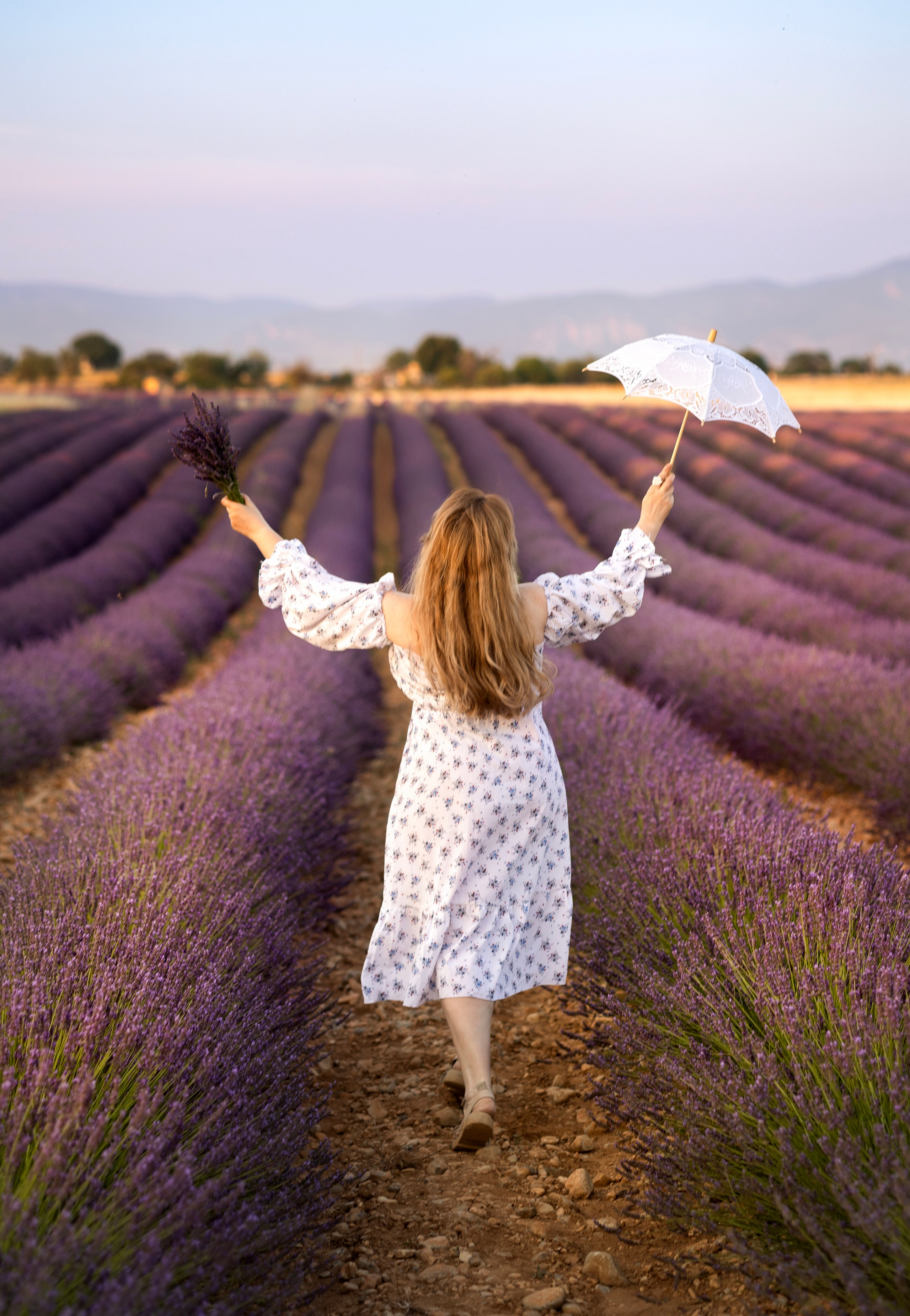 Provence. Фотограф в Мюнхене