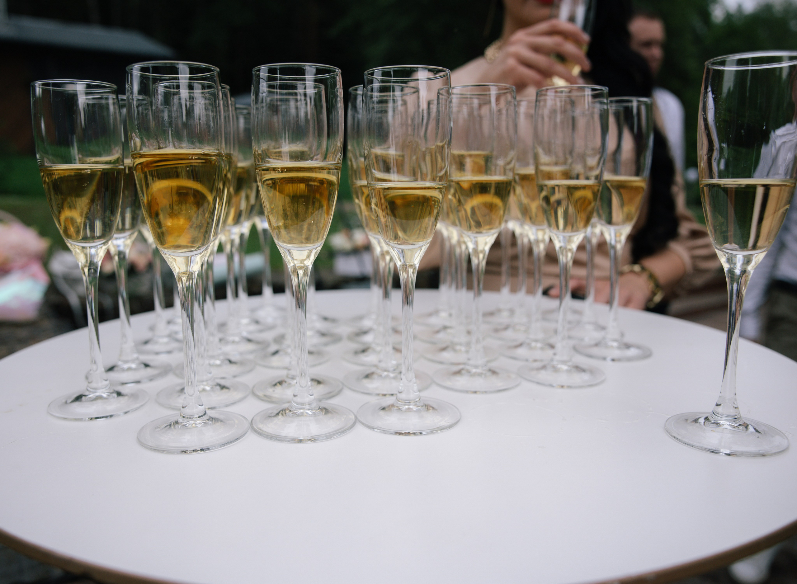 NIKOLAI_IRINA (MARRIOT / PARK_HOTEL_ROSENDORF). Фотограф Андрей Ширкалин Москва Московская обл, Коломна, Рязань