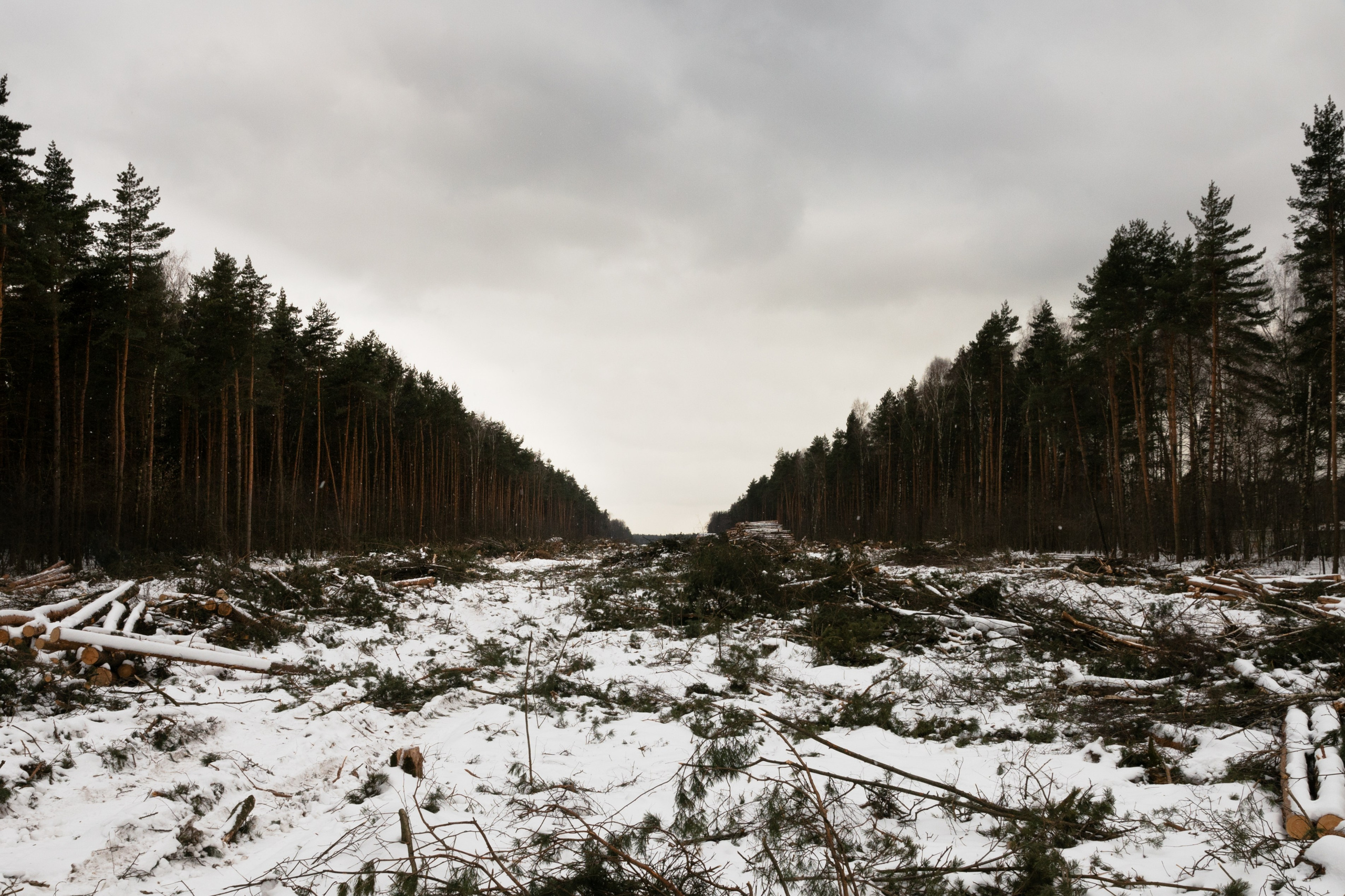 Я здесь живу. DASHA KALNINA