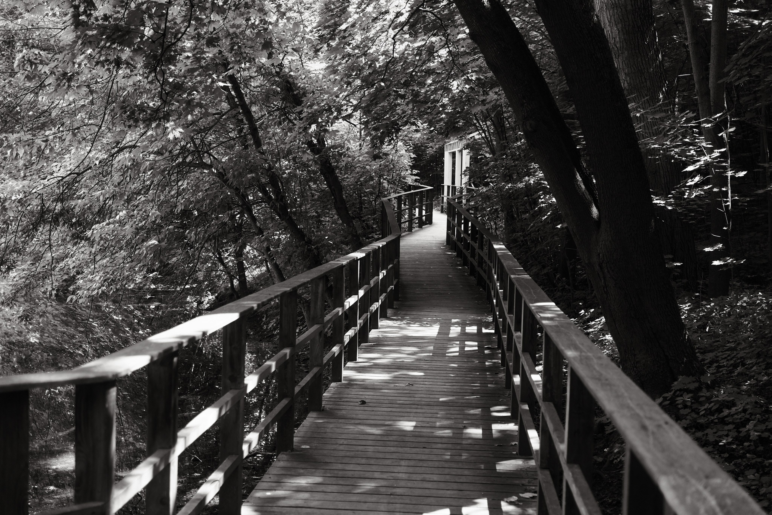 Прогулка по Воробьёвым горам. Фотограф Михаил Ерохин | Москва