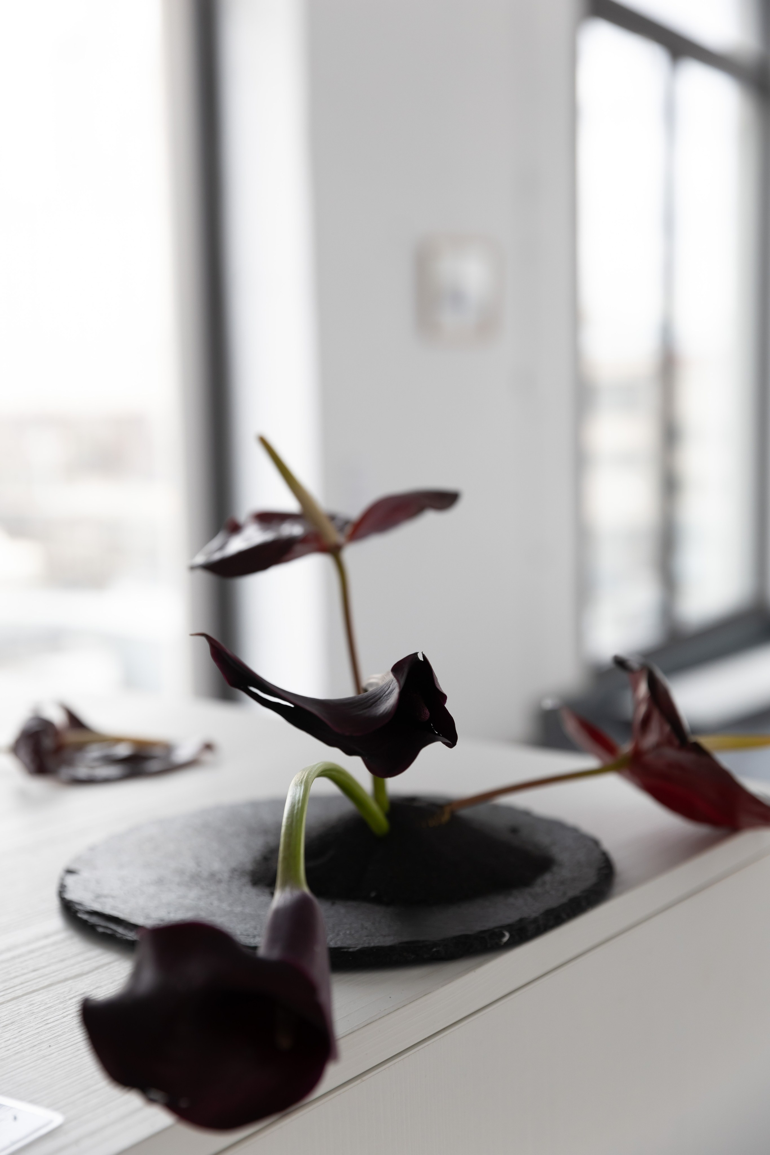 Оля & Михаил. Яна Чхан — Фотограф в Донецке и не только