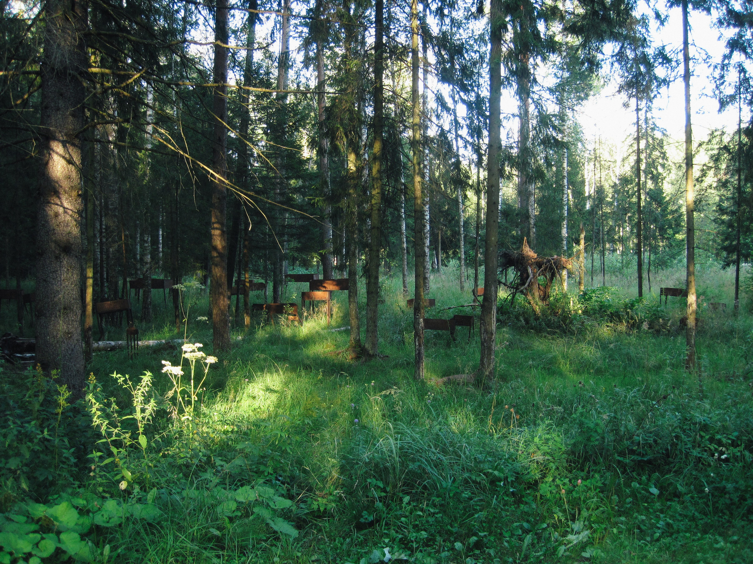 Жизнь. Фотограф Анастасия Чеботарева