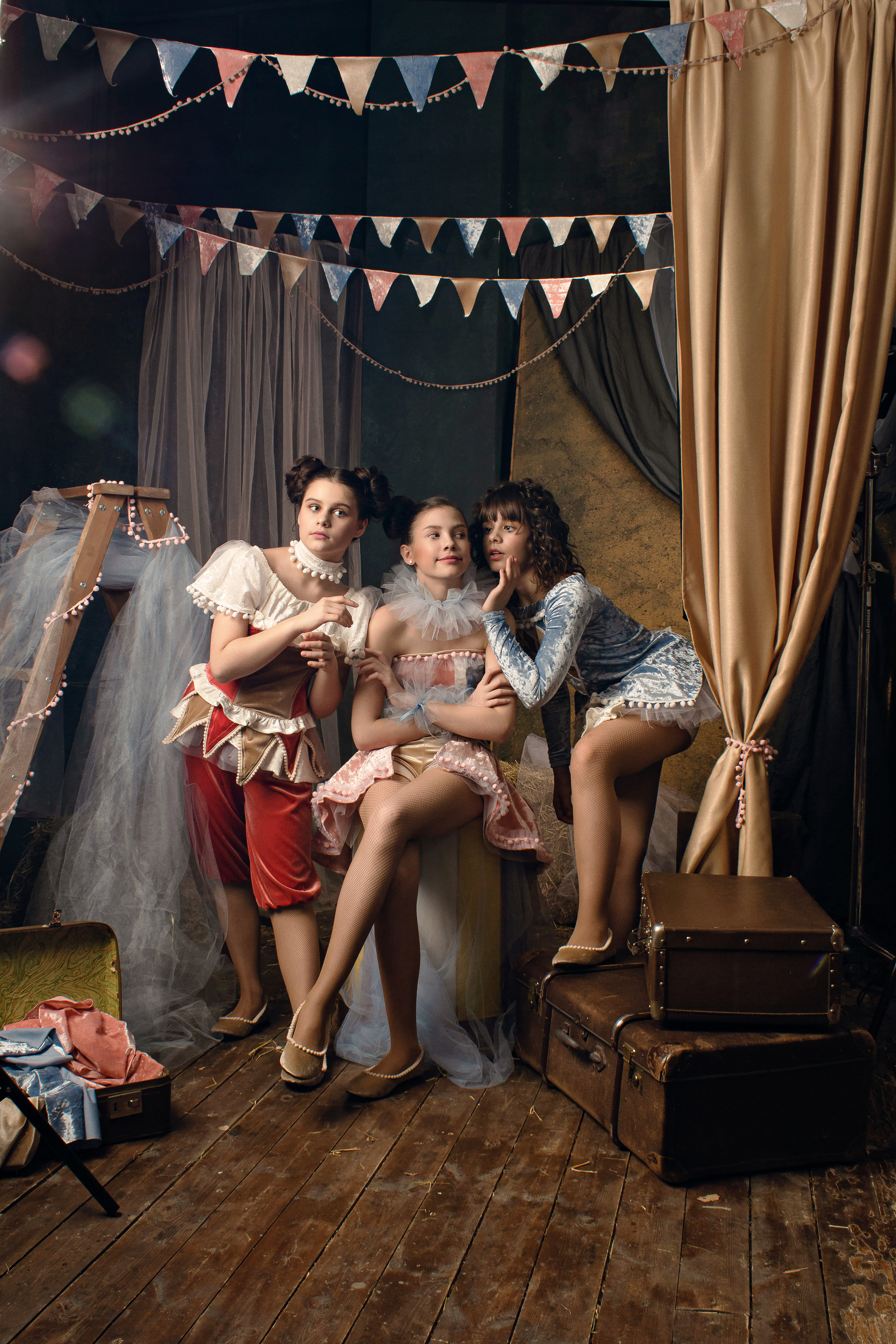 Светлана Миронова - Секретики цирка