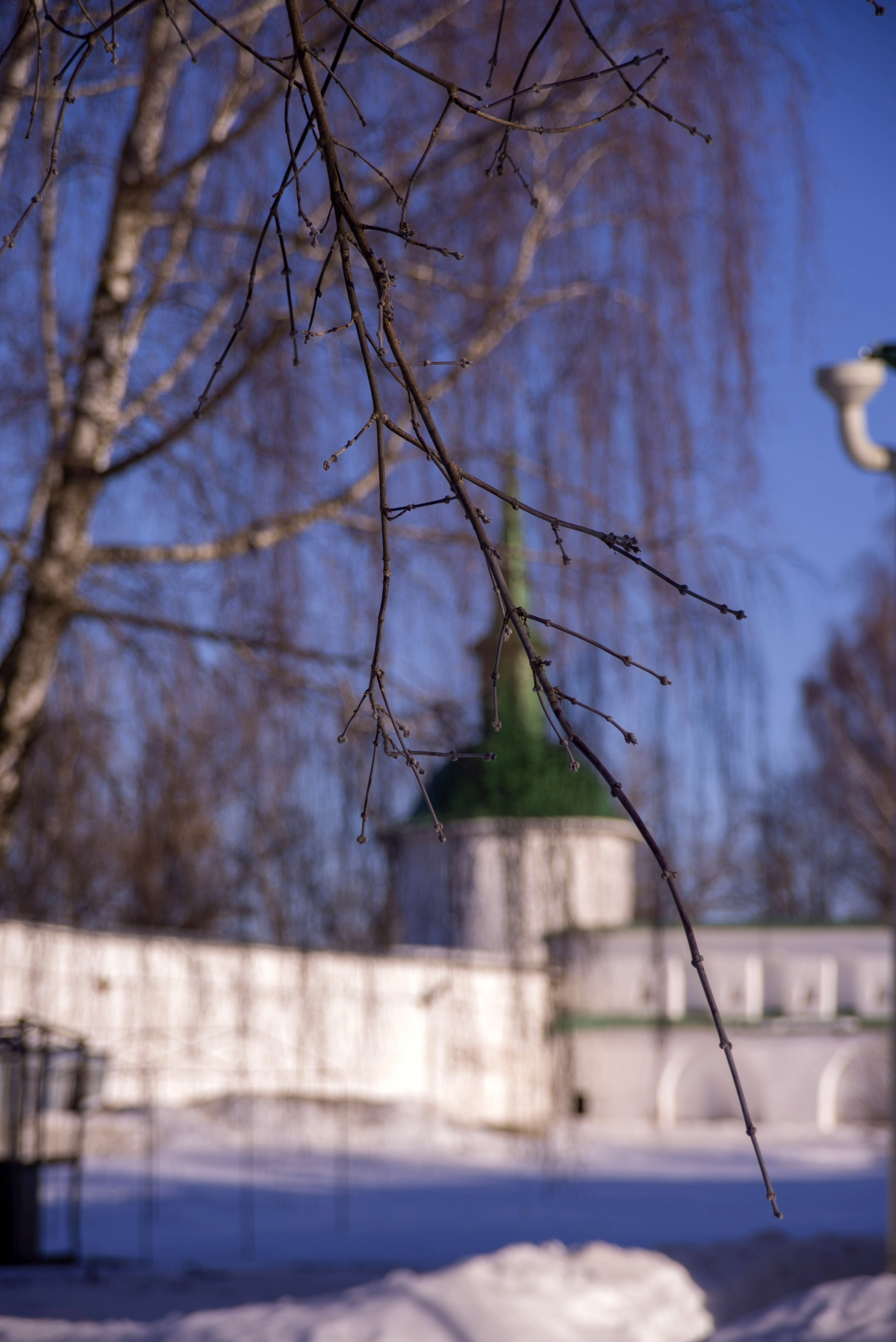 Александров. Март 2022. Игорь Жучков. Россия увиденная глазами путешествующего фотографа