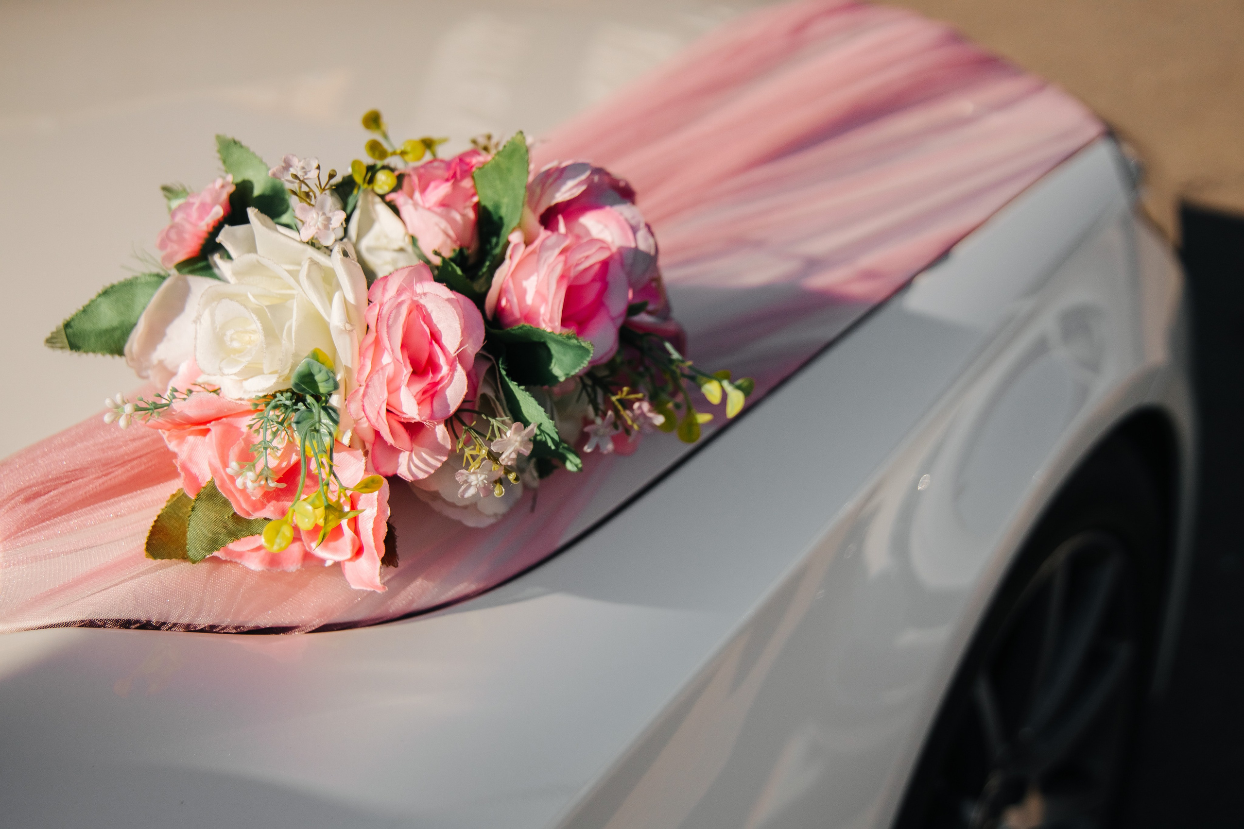 Асим Севиль. Фотограф в Красноярске Надежда Воскресенская