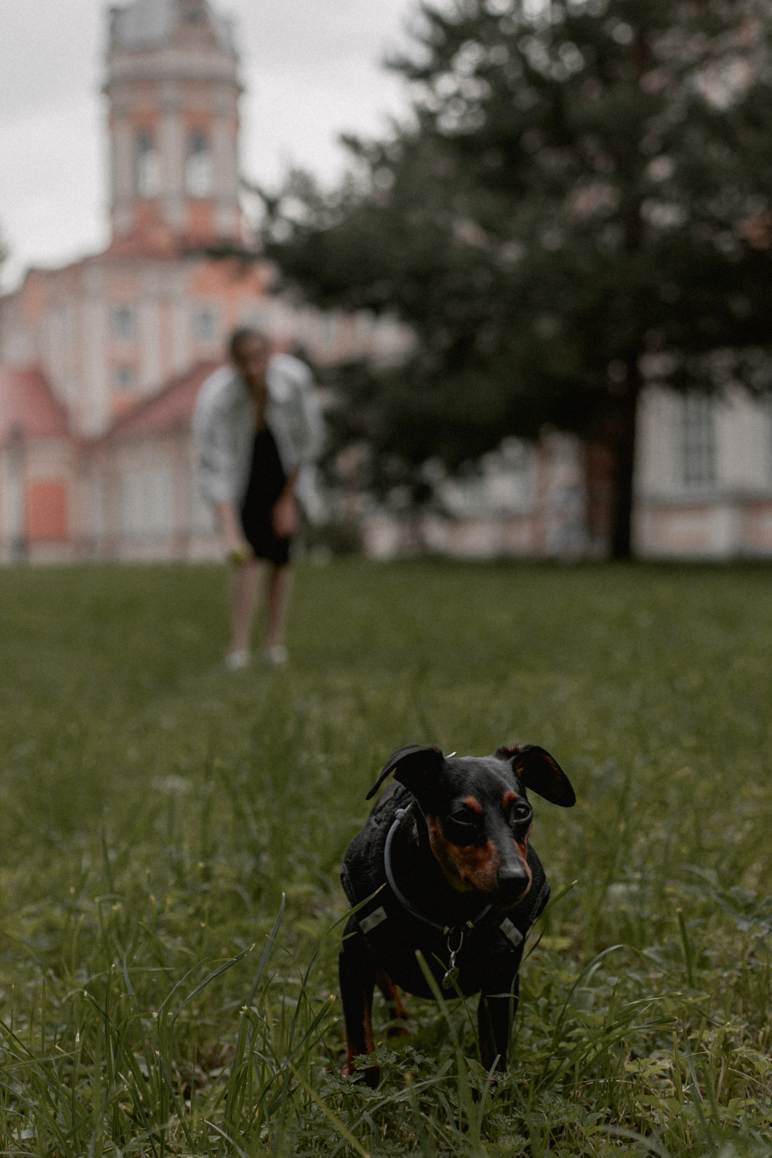 Беременность. Семейный и детский фотограф в Санкт-Петербурге «Chilik»