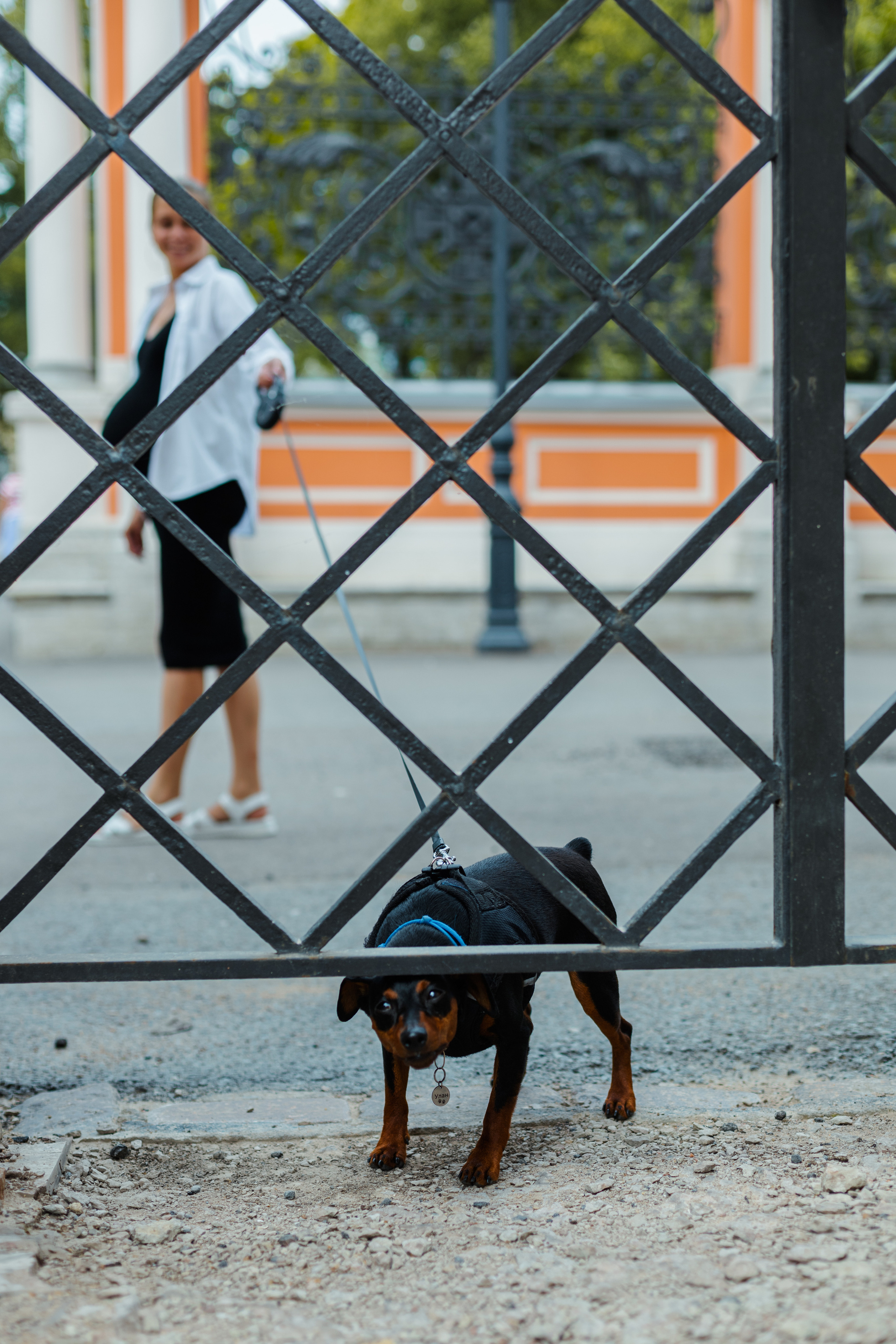 Беременность. Семейный и детский фотограф в Санкт-Петербурге «Chilik»