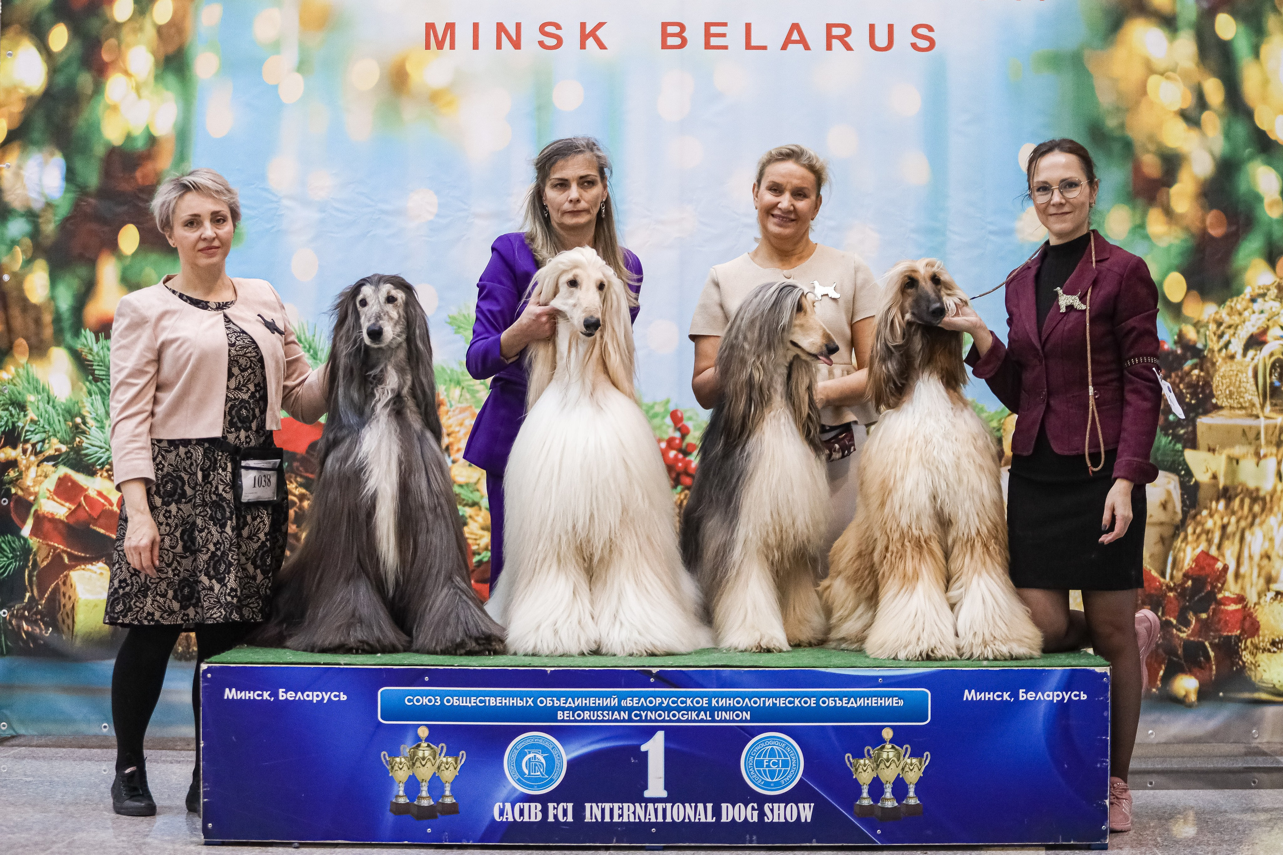 Международная выставка собак СACIB FCI 29-30.11.2025. Галерея фотографий афганской борзой