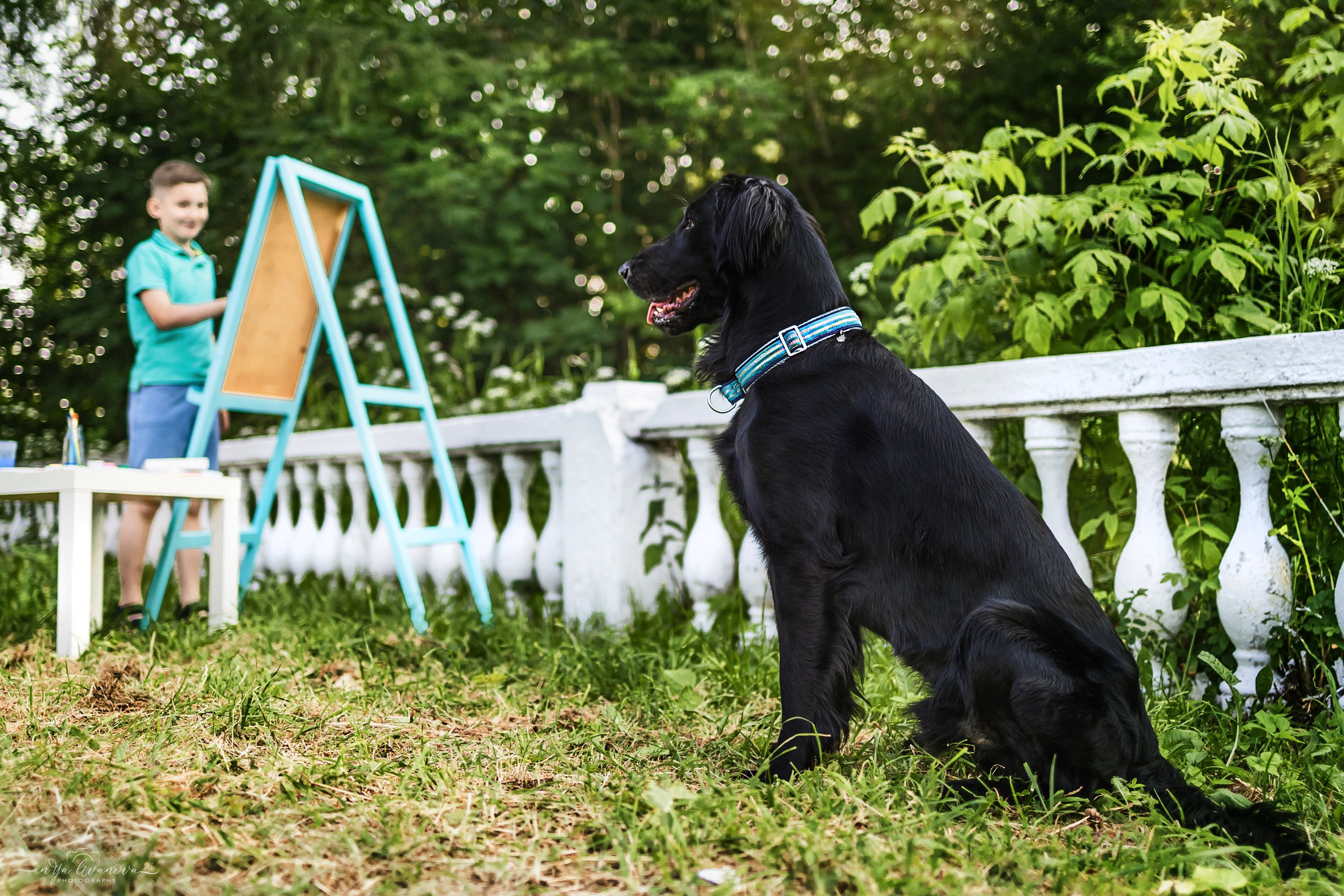 Художники…. Фотограф анималист Аня Ливанова | Рыбинск