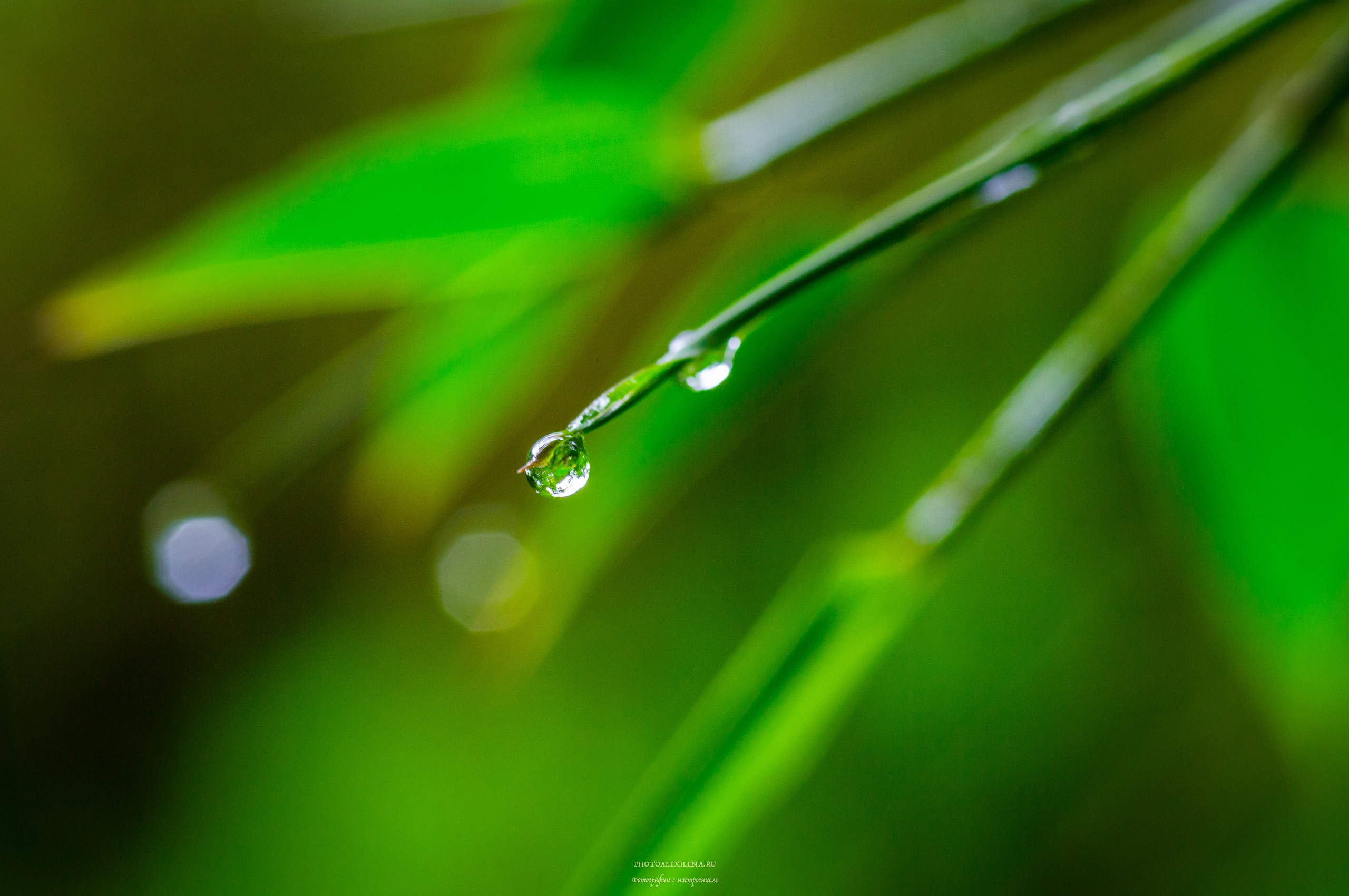 Капли, капелюшки. Авторские стильные фотокартины