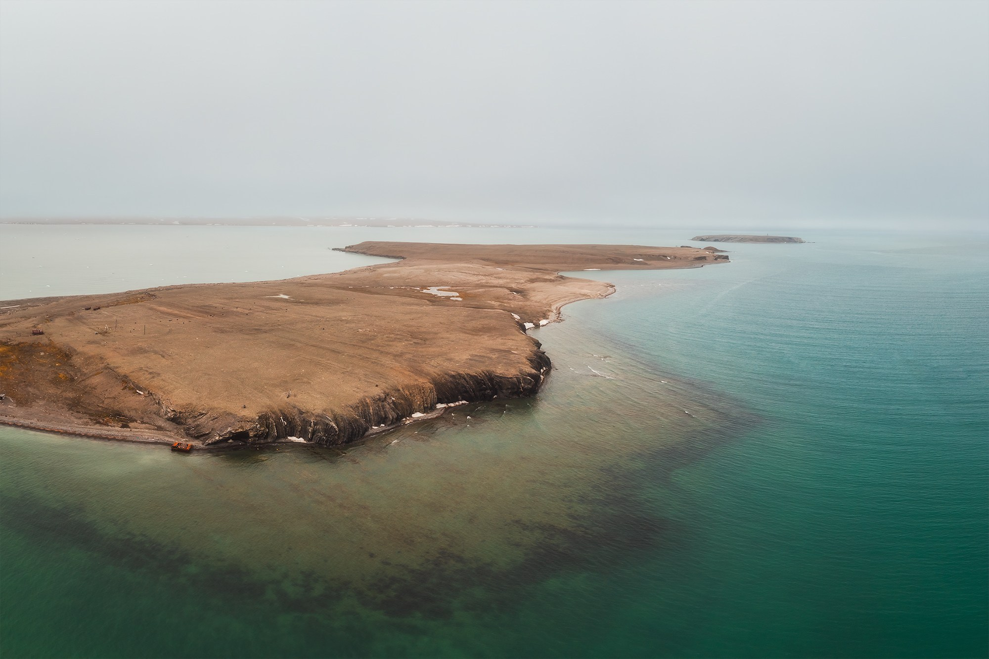 Весна в лесу. Фотосъемка в Архангельске, фотограф Александр Ермолин