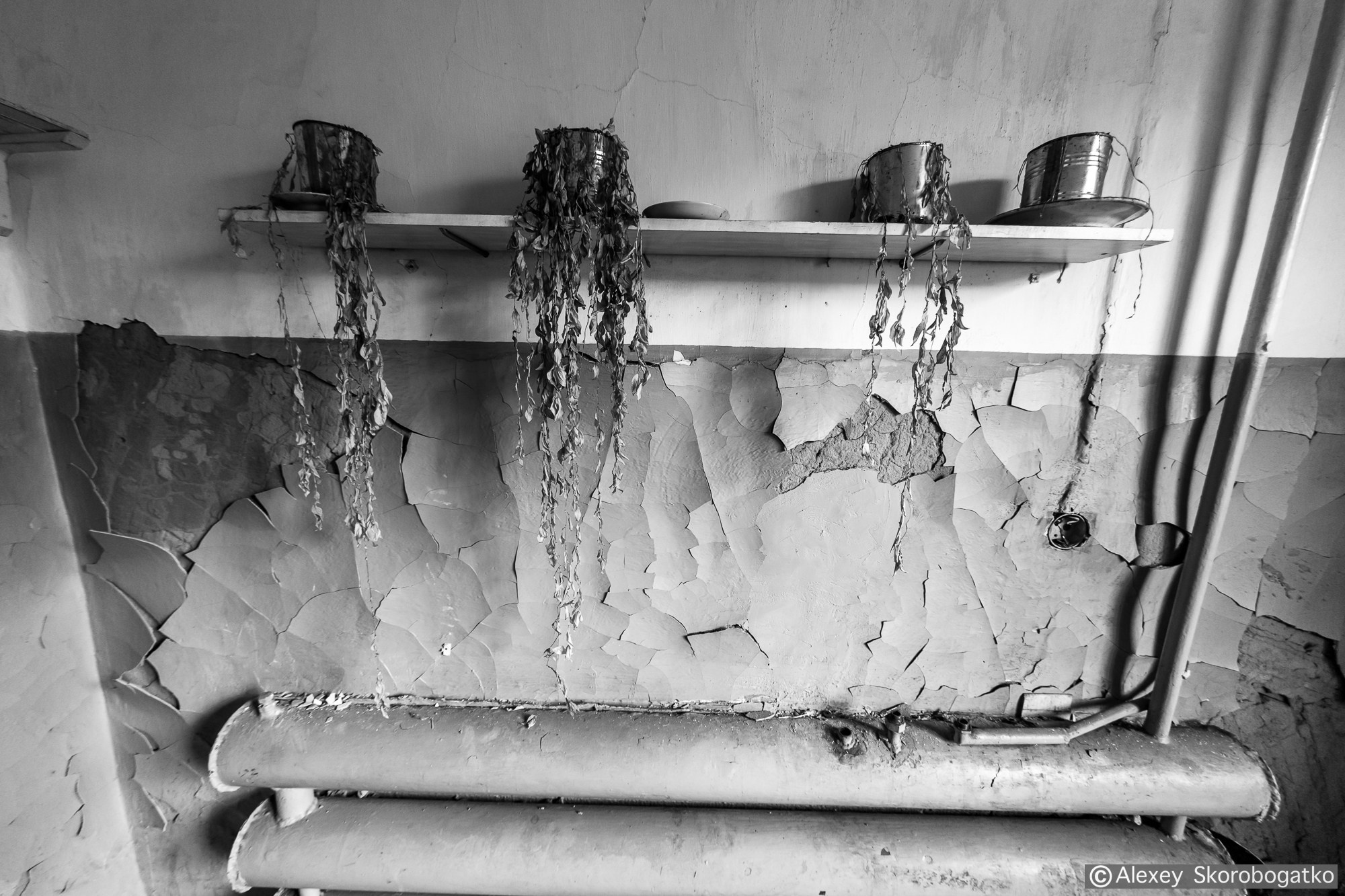 Якутия, п. Лазо, прииск Адычанский. Фотограф Алексей Скоробогатько