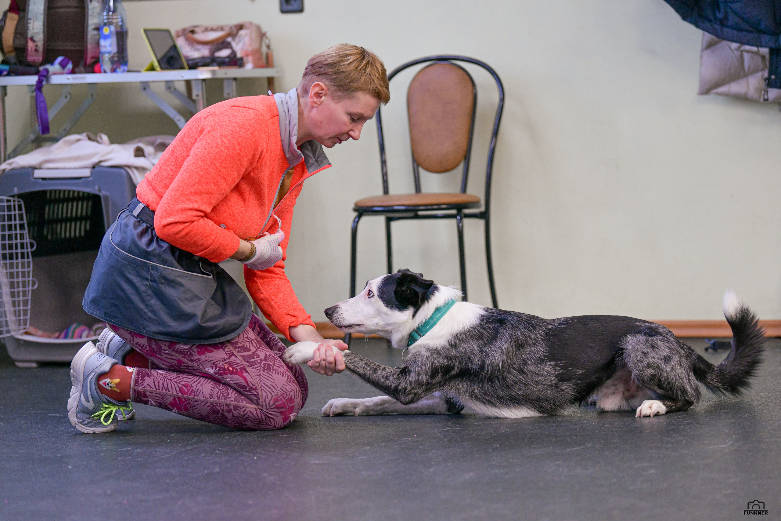 Кинологический клуб «Бодрый хвост». Свой взгляд через объектив