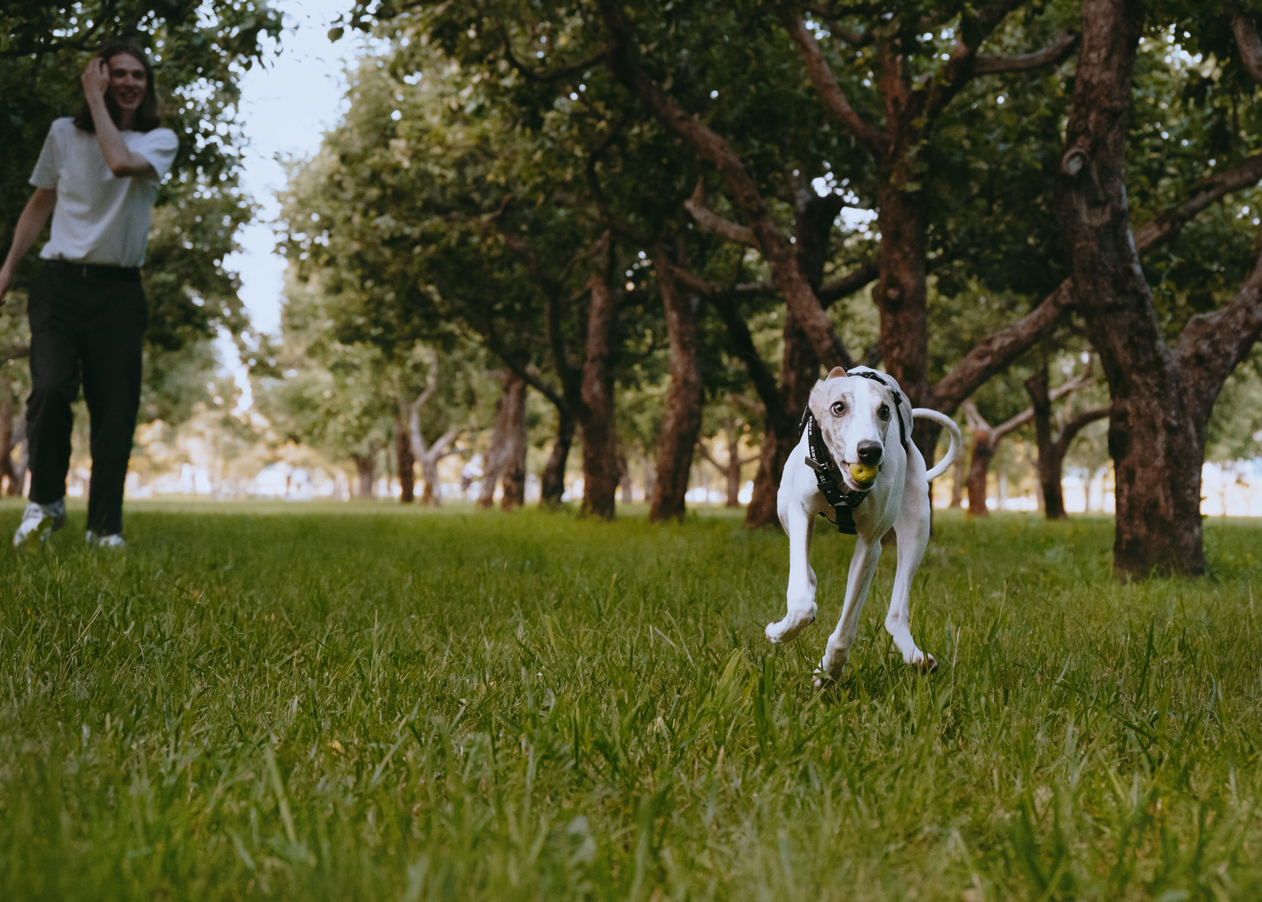 Ветка. Фотограф- анималист Александра Матвеева