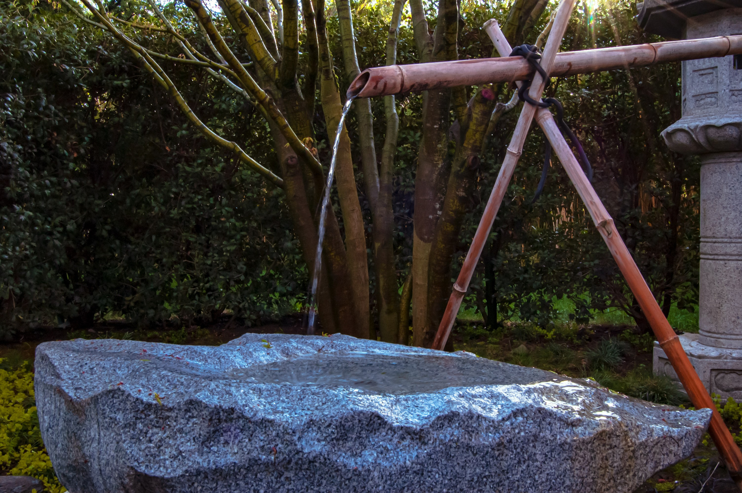 Фотосессия эстетики Японского сада в Краснодаре. Портретный фотограф в Краснодаре Слава Никитин