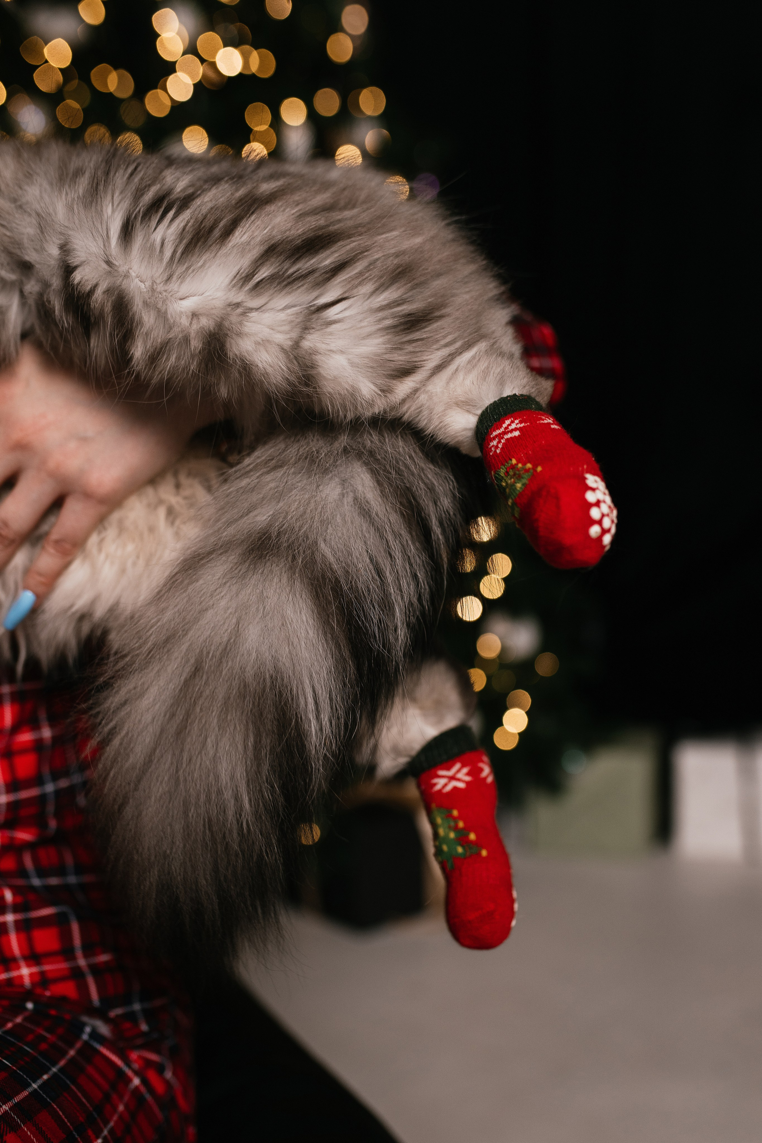 Люда. Свадебный, семейный фотограф в Рязани Лена Брант