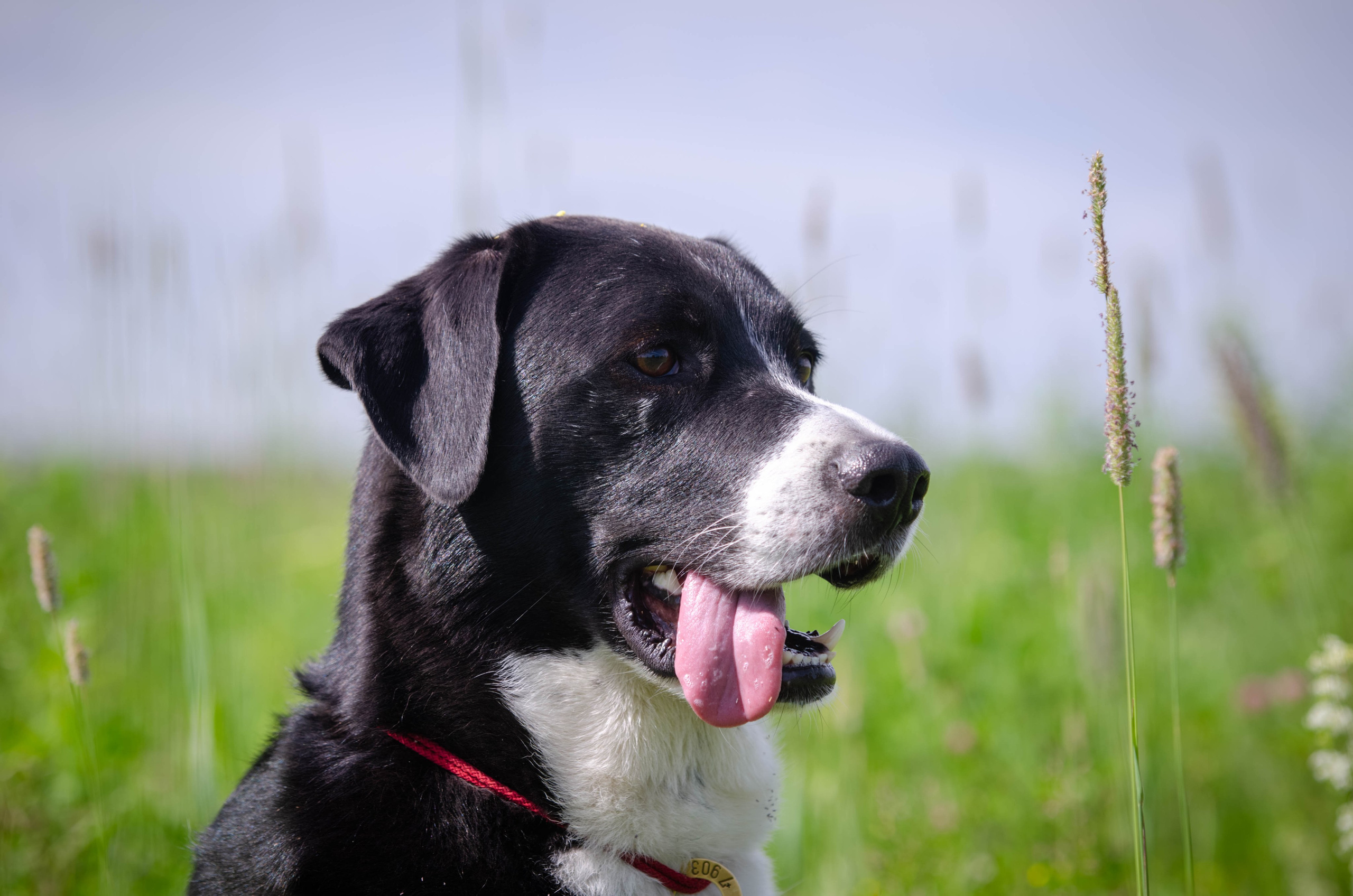 Прогулка (Лохин остров). Фотограф Светлана Блинова, Москва и Московская область