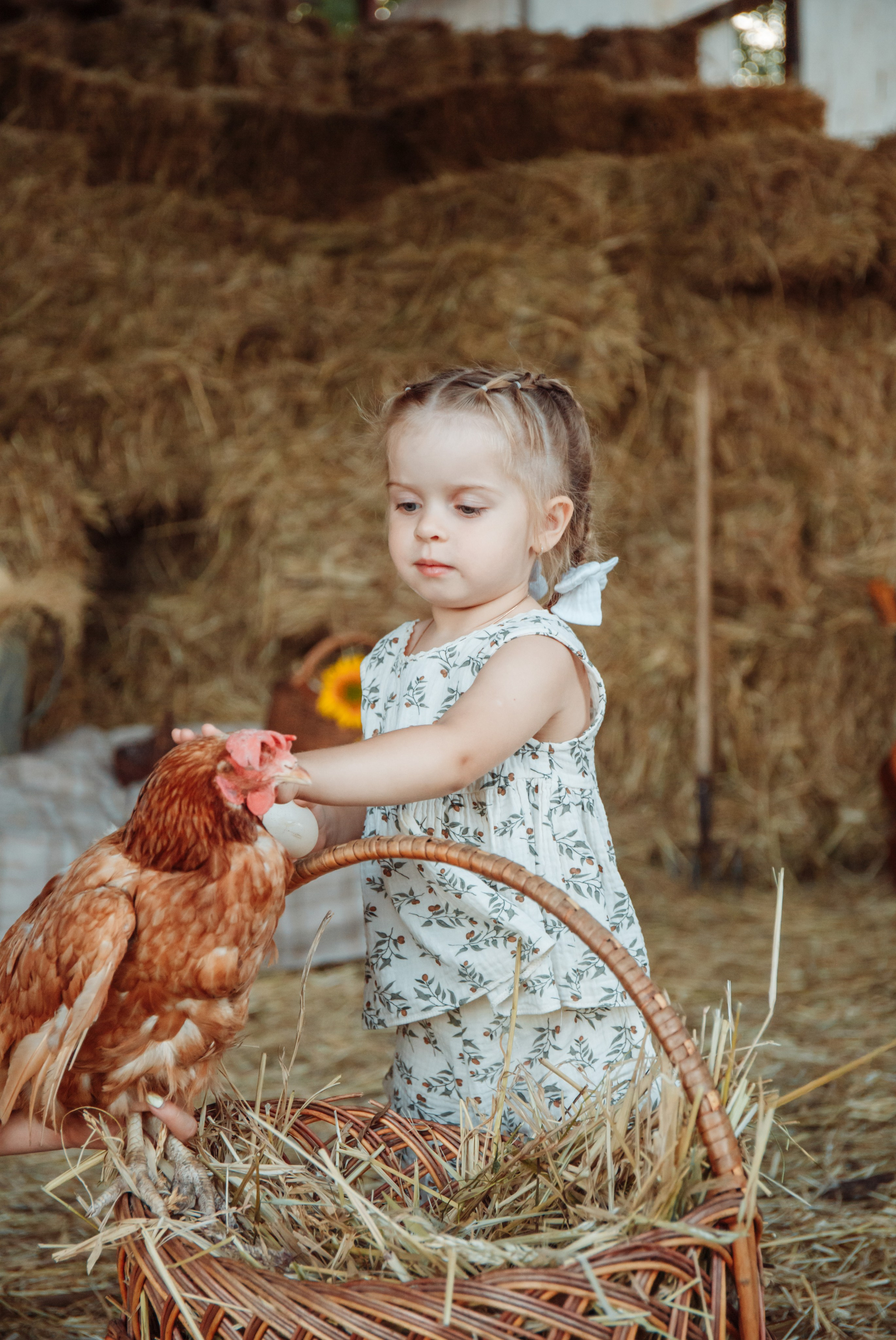 Семейные фото. Семейный фотограф из Новошахтинска Антонина Змиенко