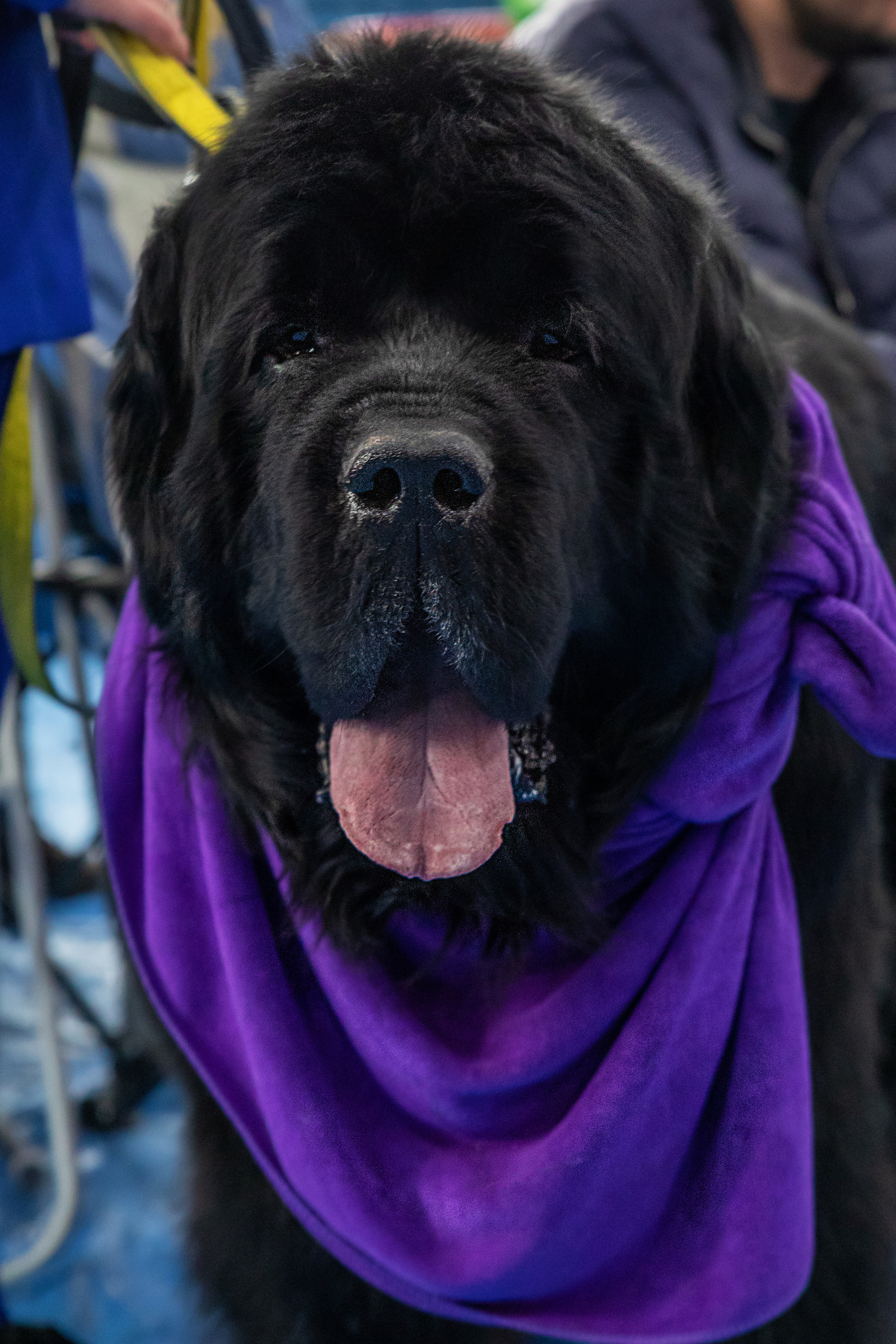 Отзывы. Семейный и частный фотограф во Владивостоке