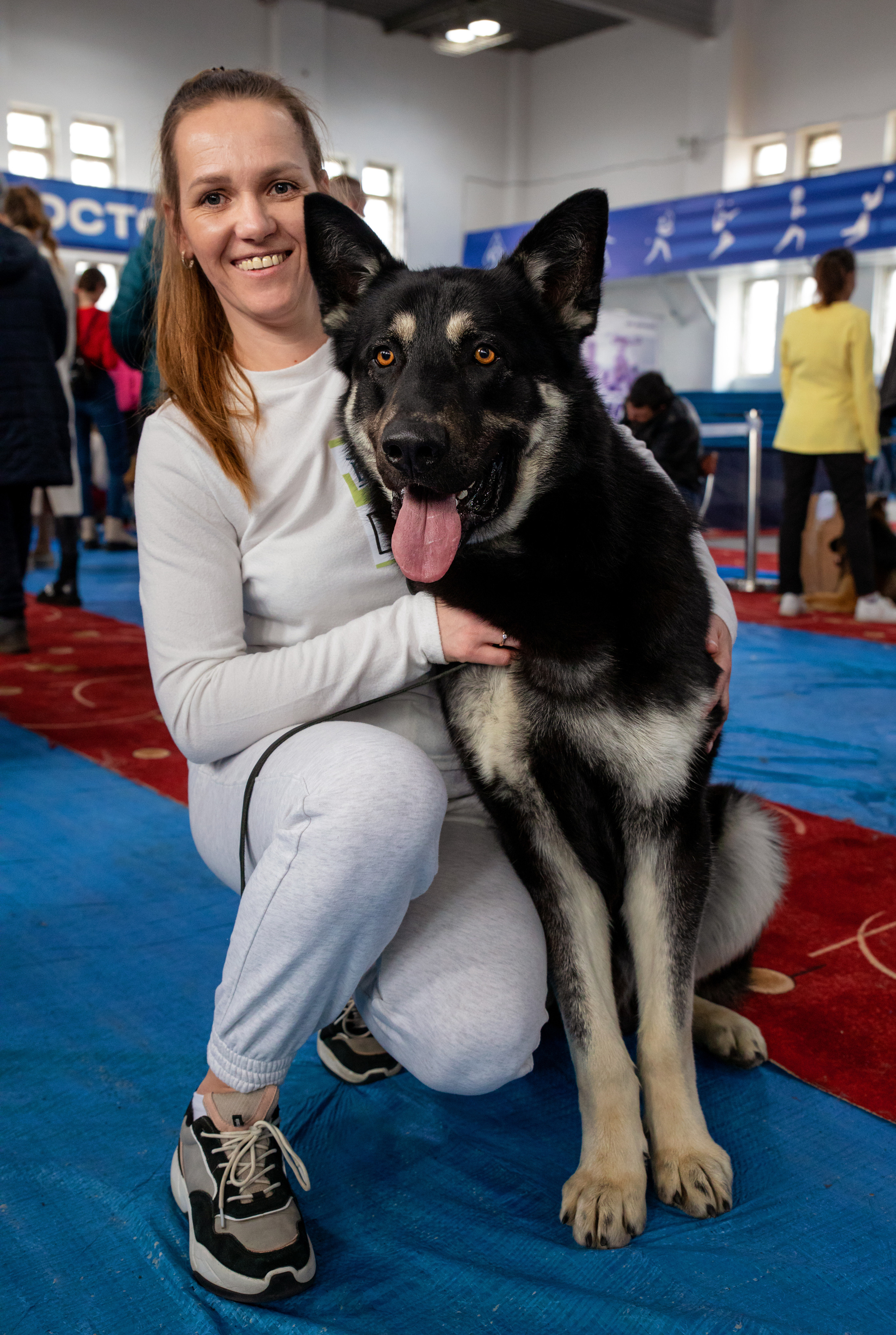 Выставка собак. Семейный и частный фотограф во Владивостоке