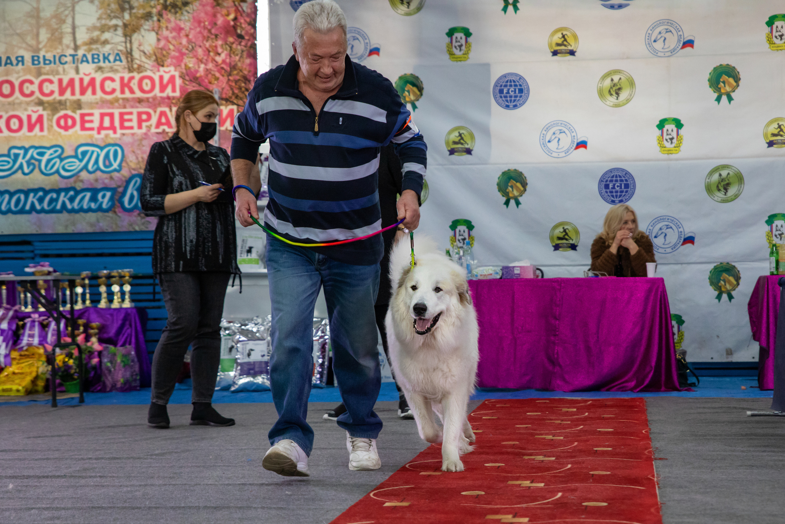 Выставка собак. Семейный и частный фотограф во Владивостоке