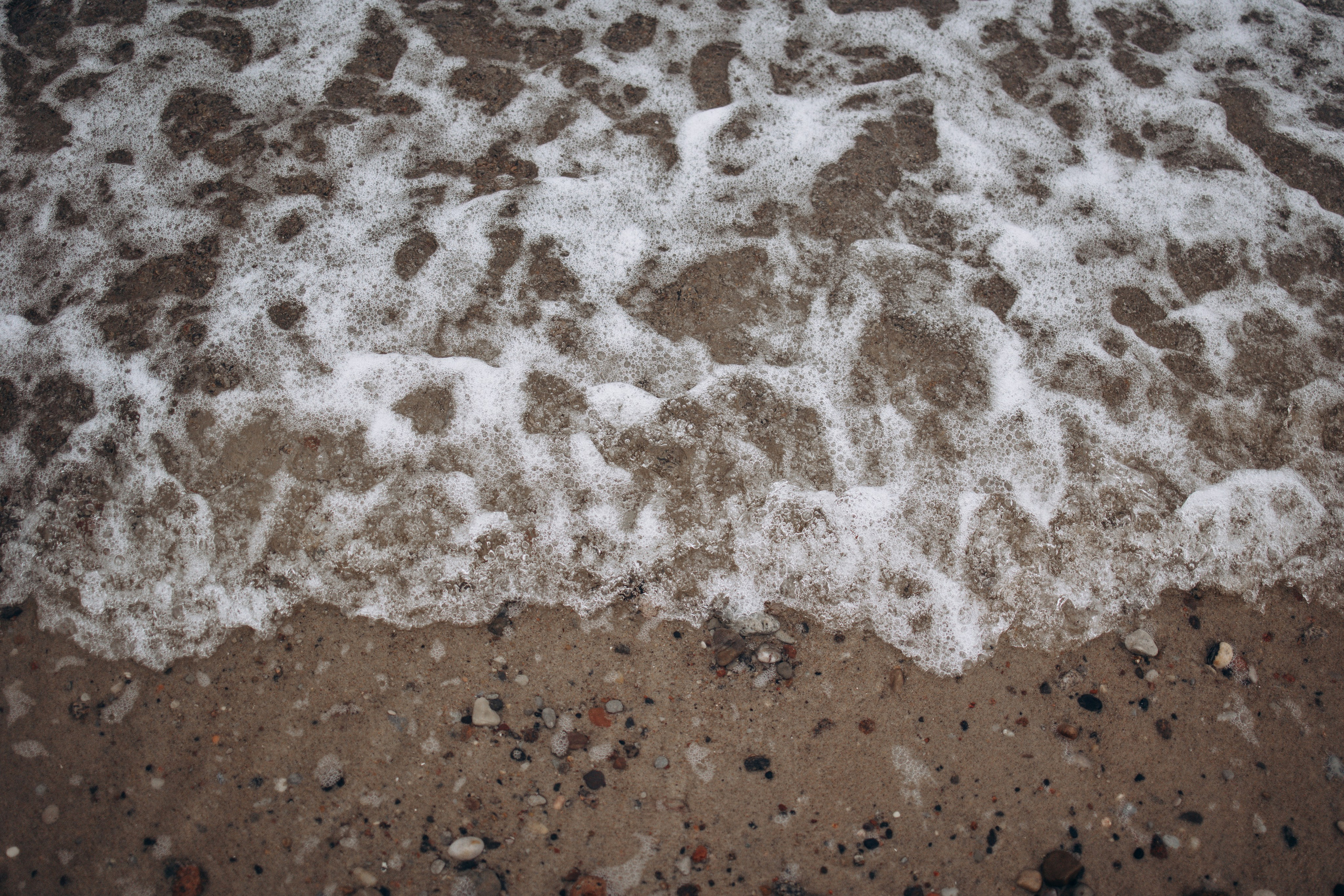 Юля и Максик. Фотограф — Анималист | Санкт-Петербург