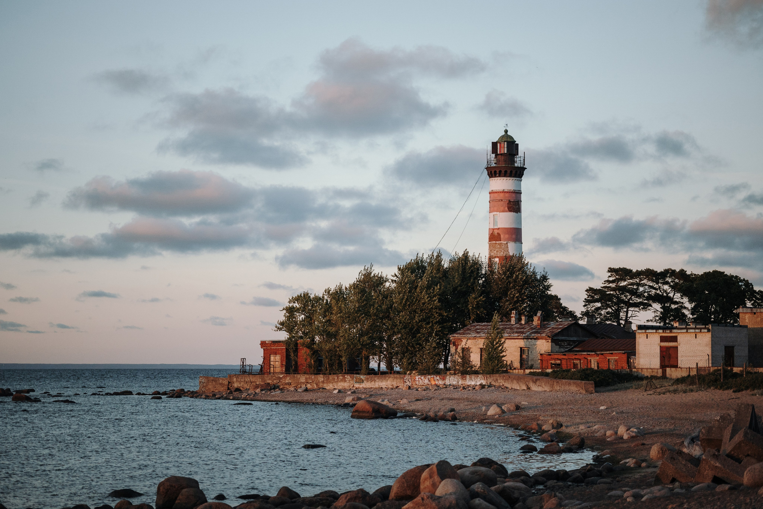 Верон, Гарри и их семья. Фотограф — Анималист | Санкт-Петербург