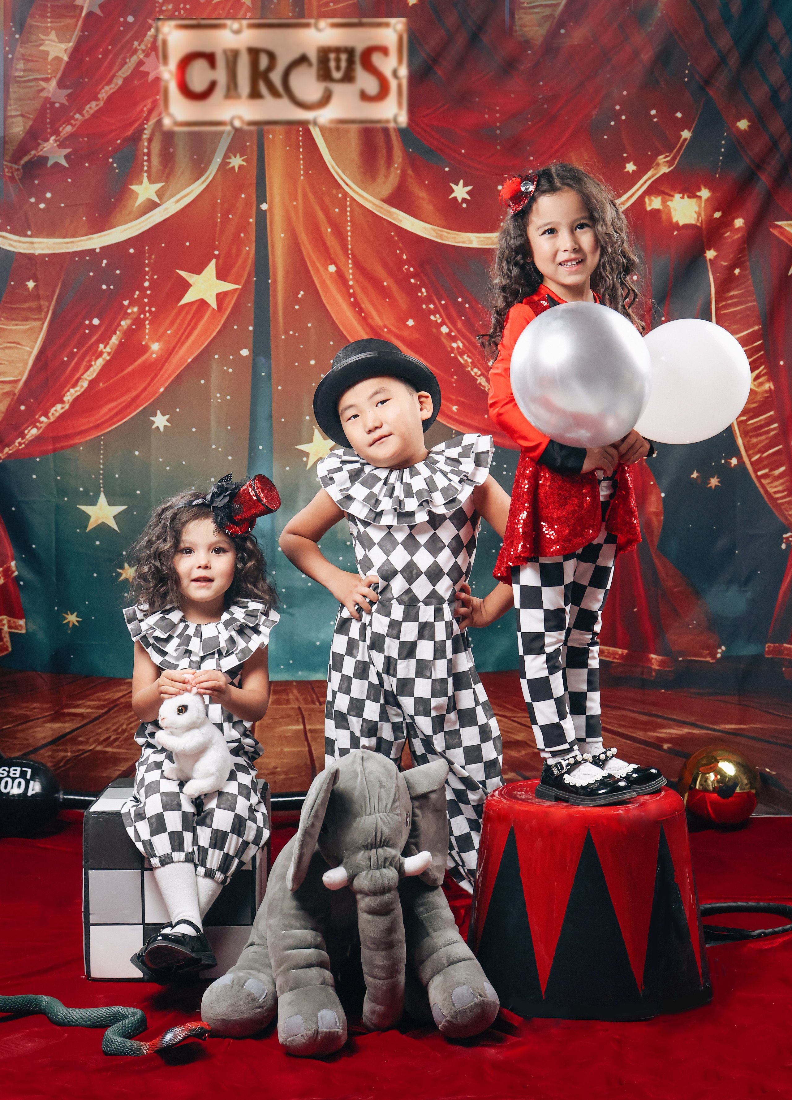 ФОТОПРОЕКТ ЦИРК. BAMbook