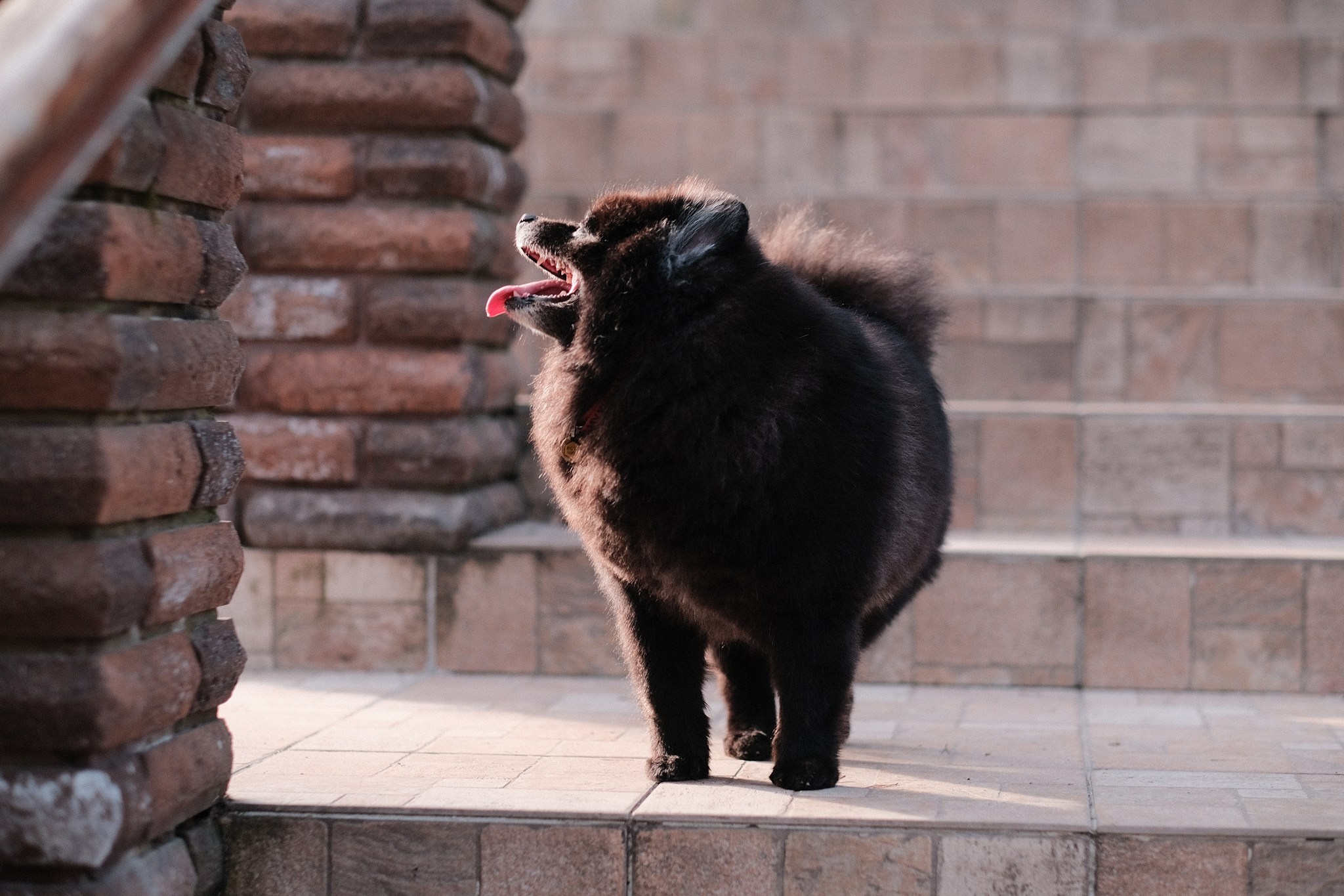 Аляска, Чарли, Пати и их люди. Дмитрий Бречалов