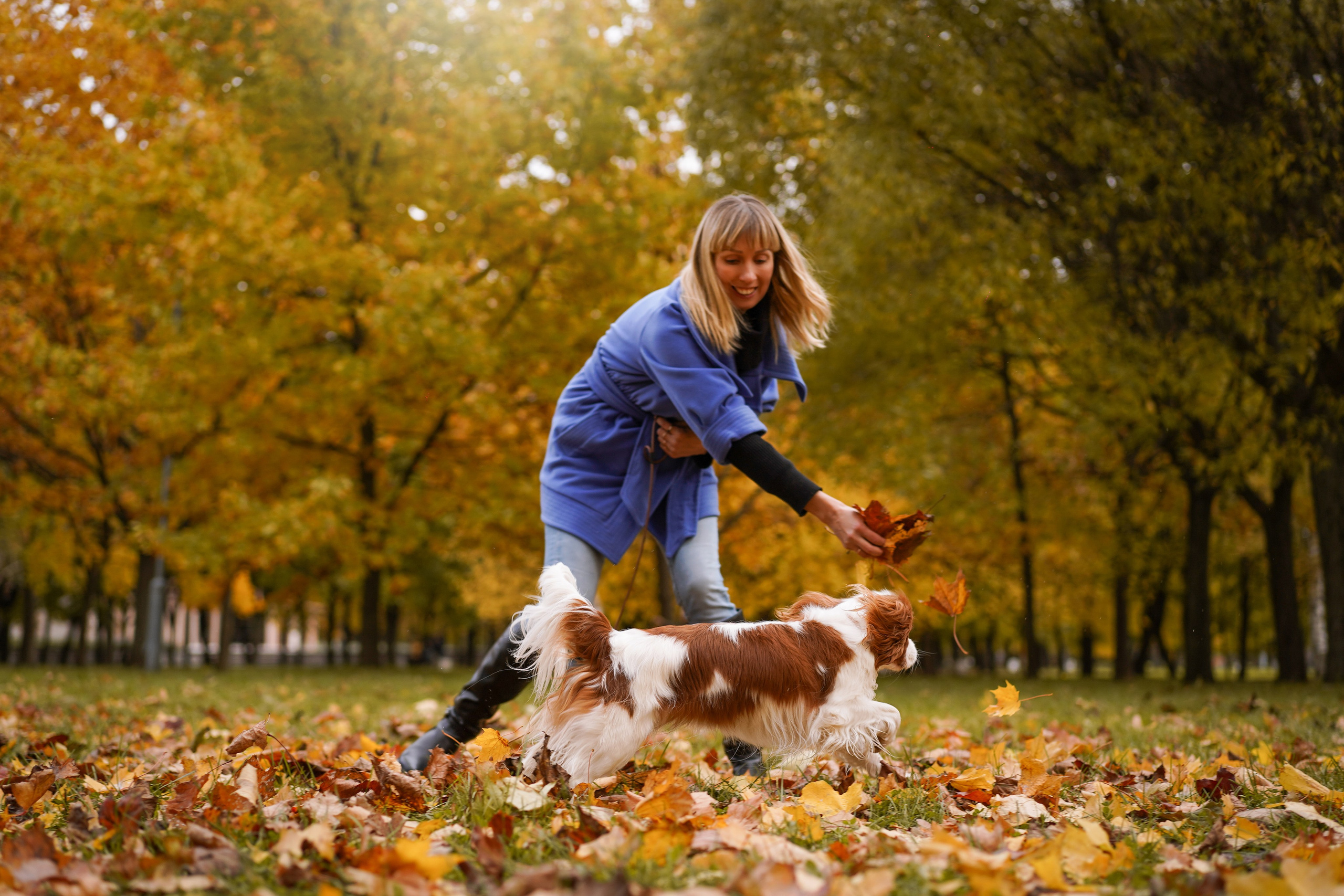 Катя Валера Саша и кавалерчики. Фотограф-анималист в Санкт-Петербурге Яна Мартынова