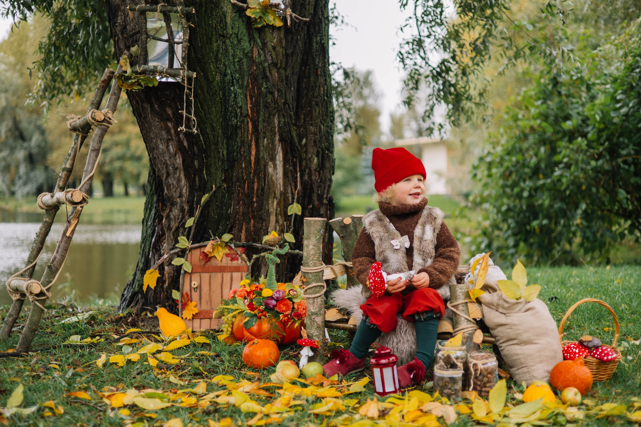 Гномики. Фотография с любовью от Людмилы Луценко