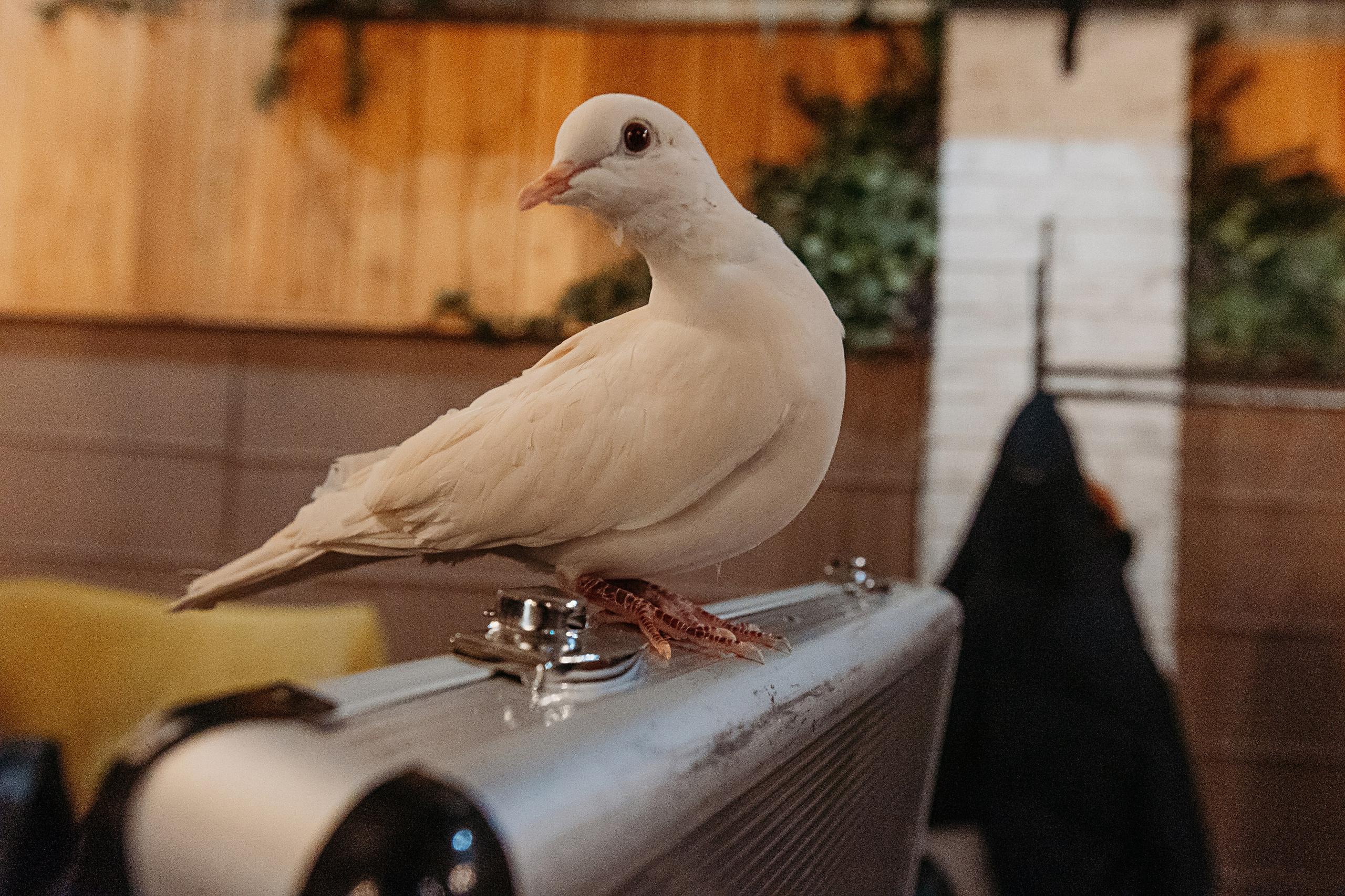 Корпоратив. Семейный фотограф Тюмень, фотограф на роды Салмина Мария