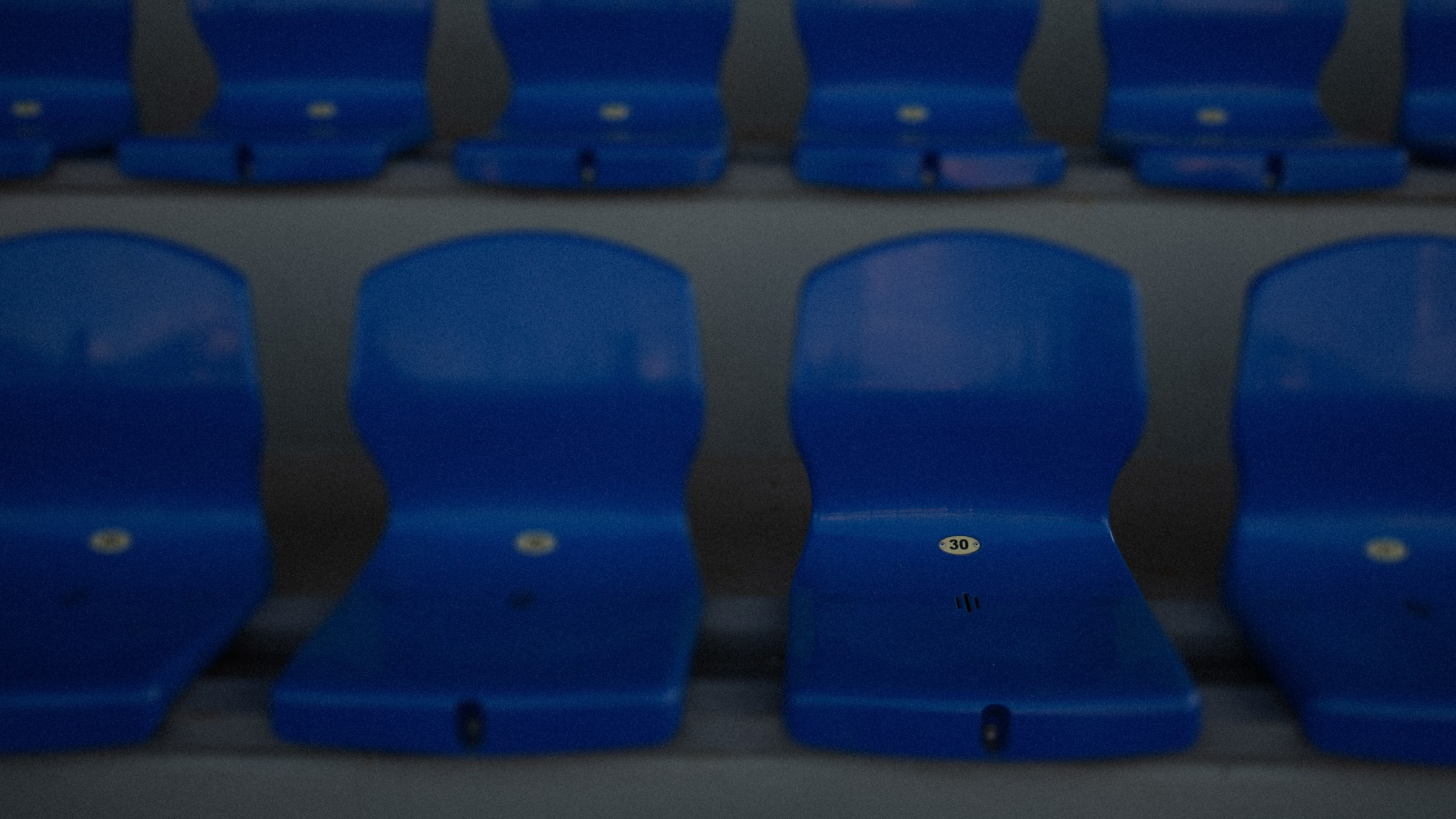 Бегущие айтишники. Фотограф Daria Wilner