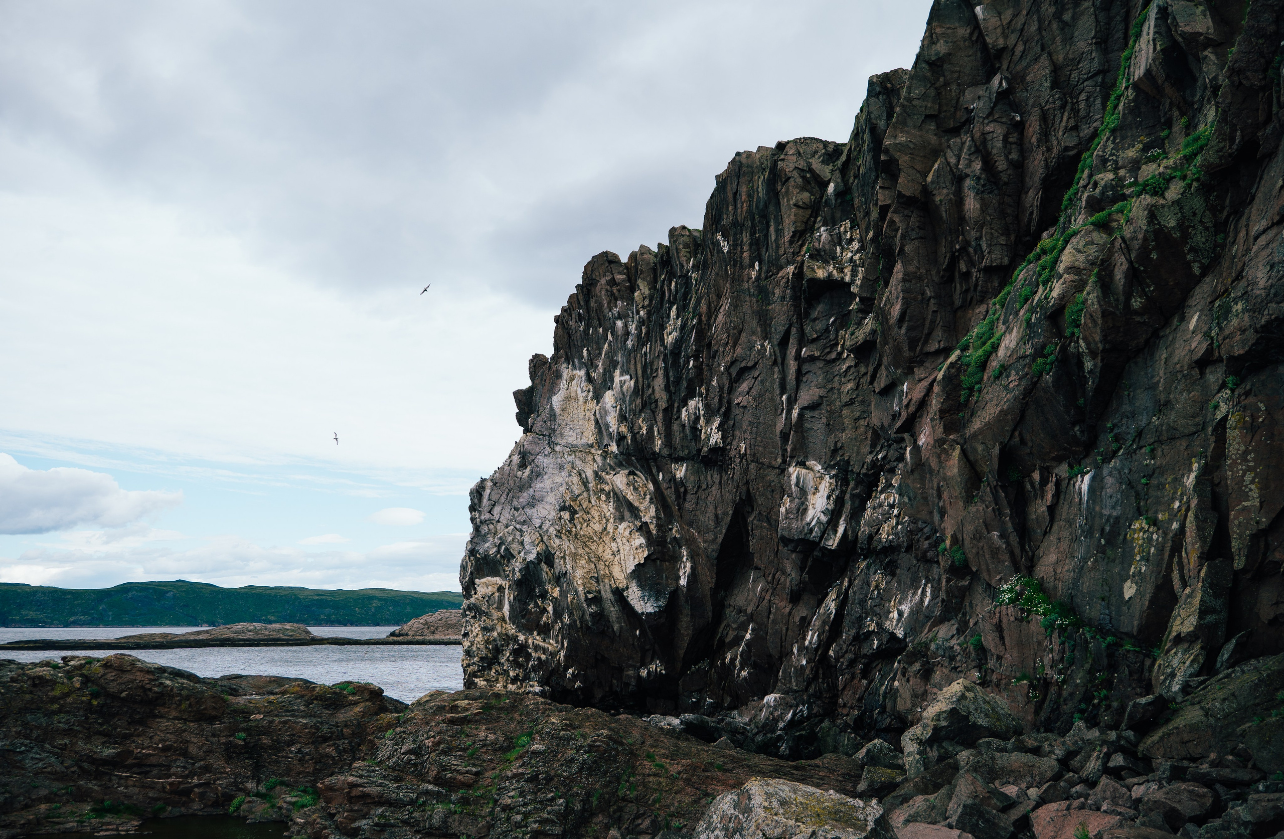 ТЕРИБЕРКА. Создание контента | Фото | Видеосъемка | Александр Ярков