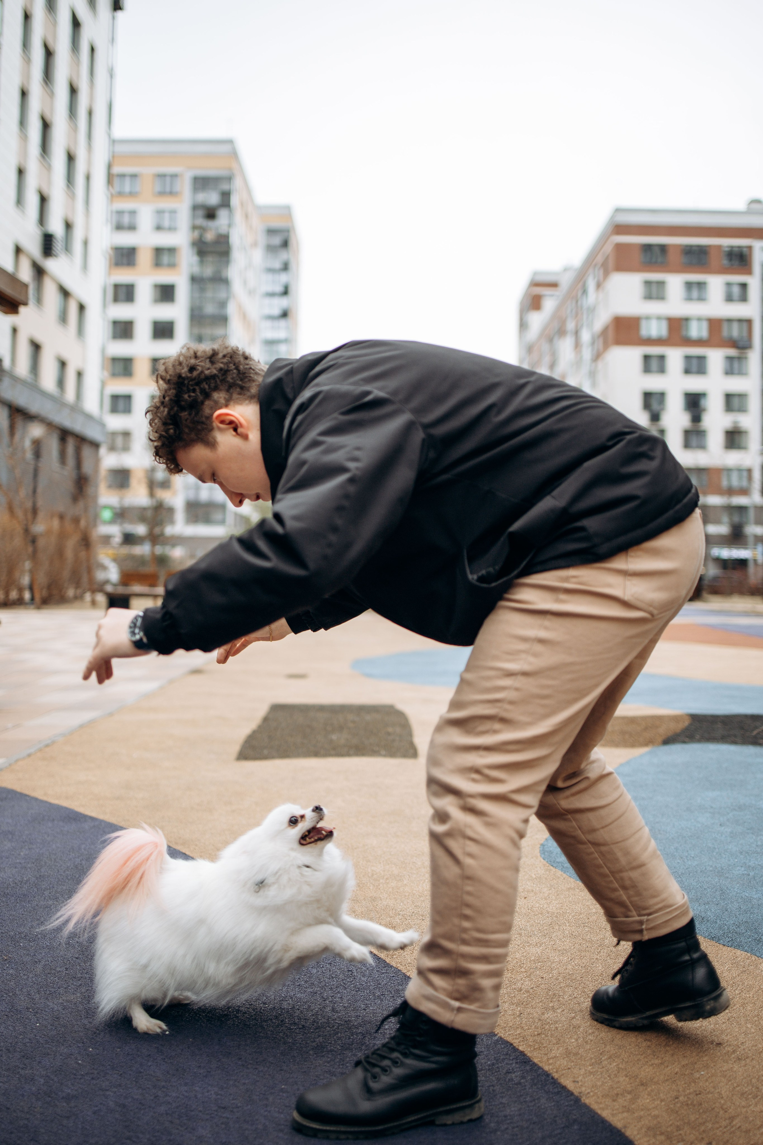 Шпиц Мася и ее семья