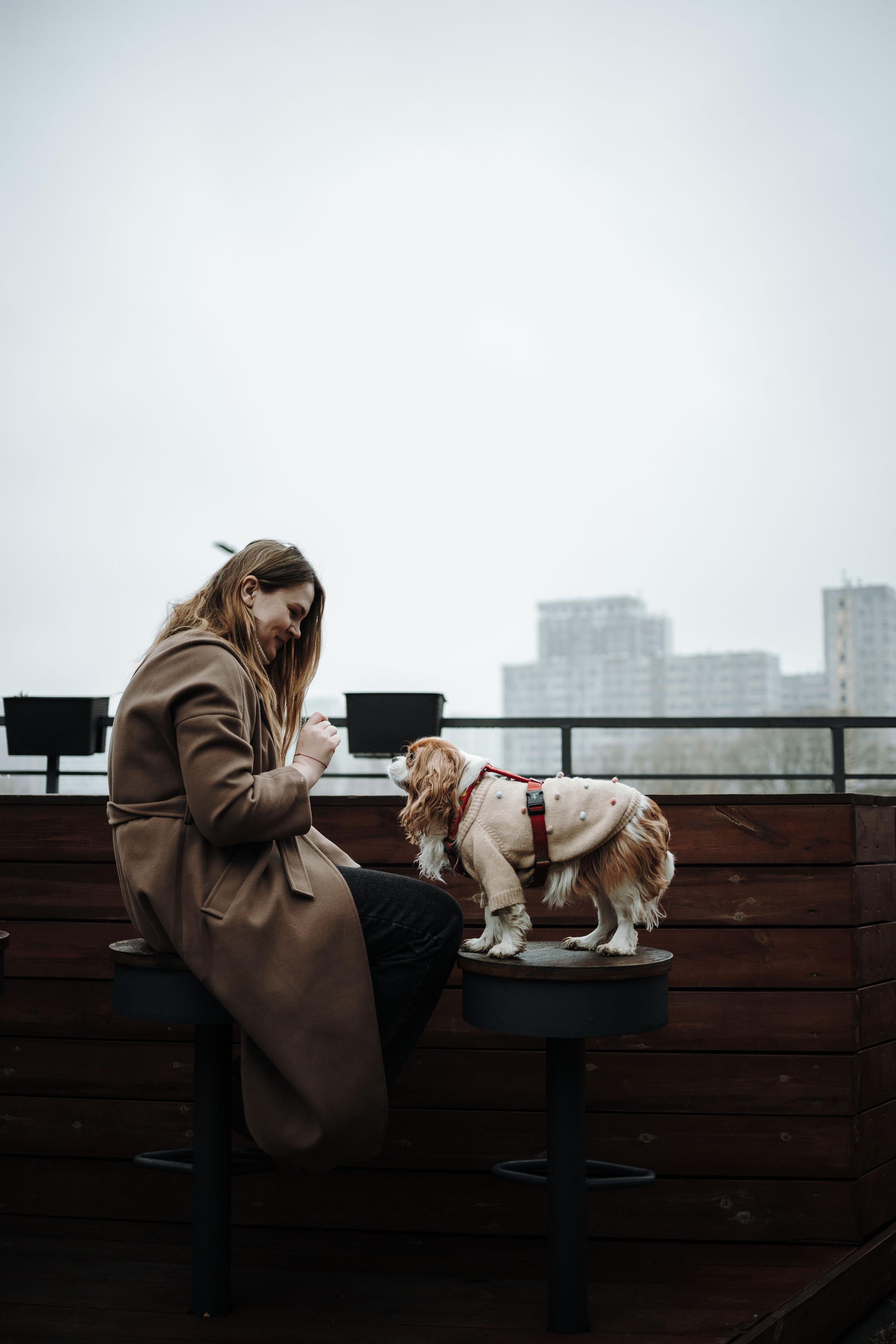 Любовь и Альтаир