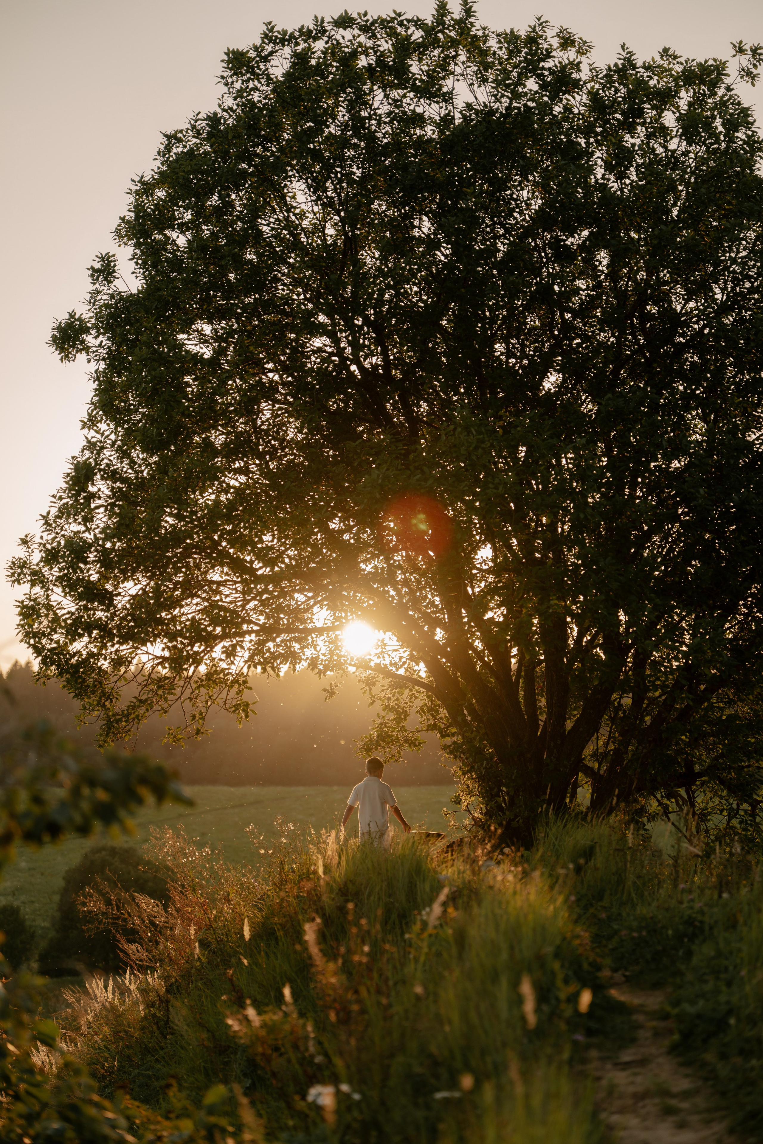Аня, Агата, Юра и Саша. Свадебный и семейный фотограф в Москве и Красногорске — живые кадры | Анастасия Тихонова