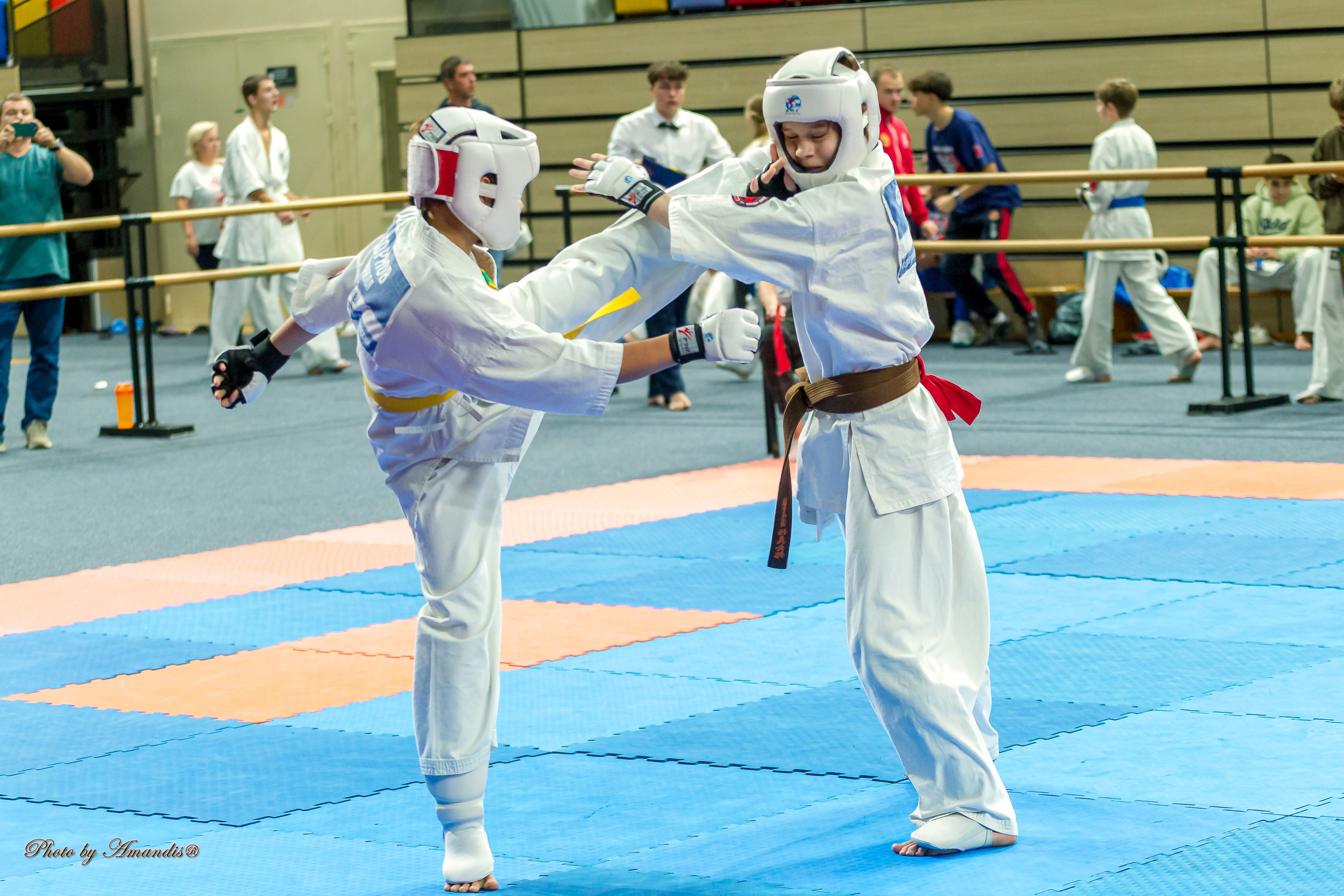 Первенство Московской области по Киокушин в СК «Жаворонки». Репортажная съемка в Москве и области. Анималистика