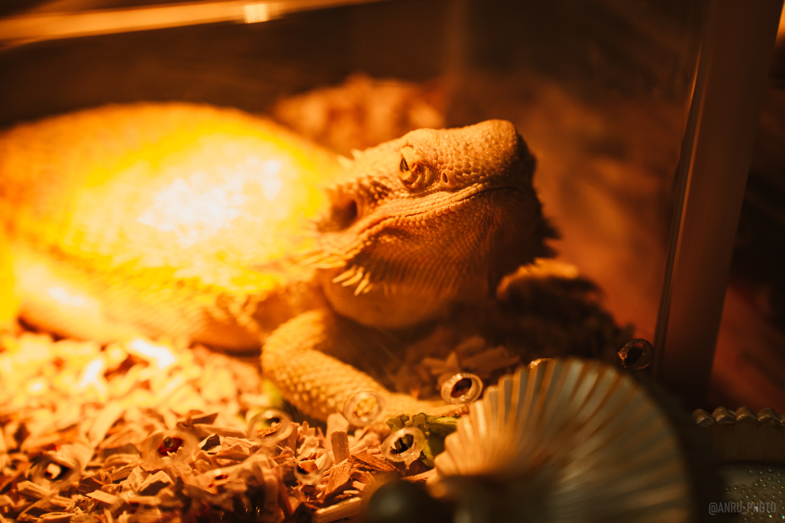 Рептилиум. Репортажный фотограф Анастасия Рубцова